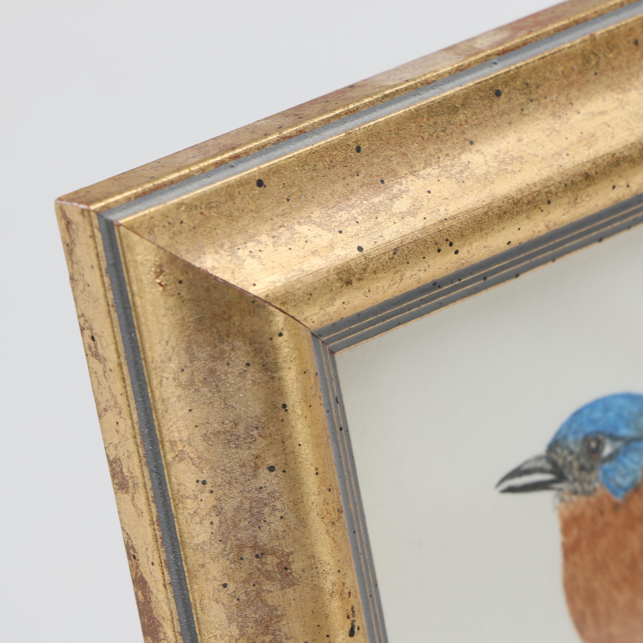 Maxine Watercolor Paintings on Paper of Birds