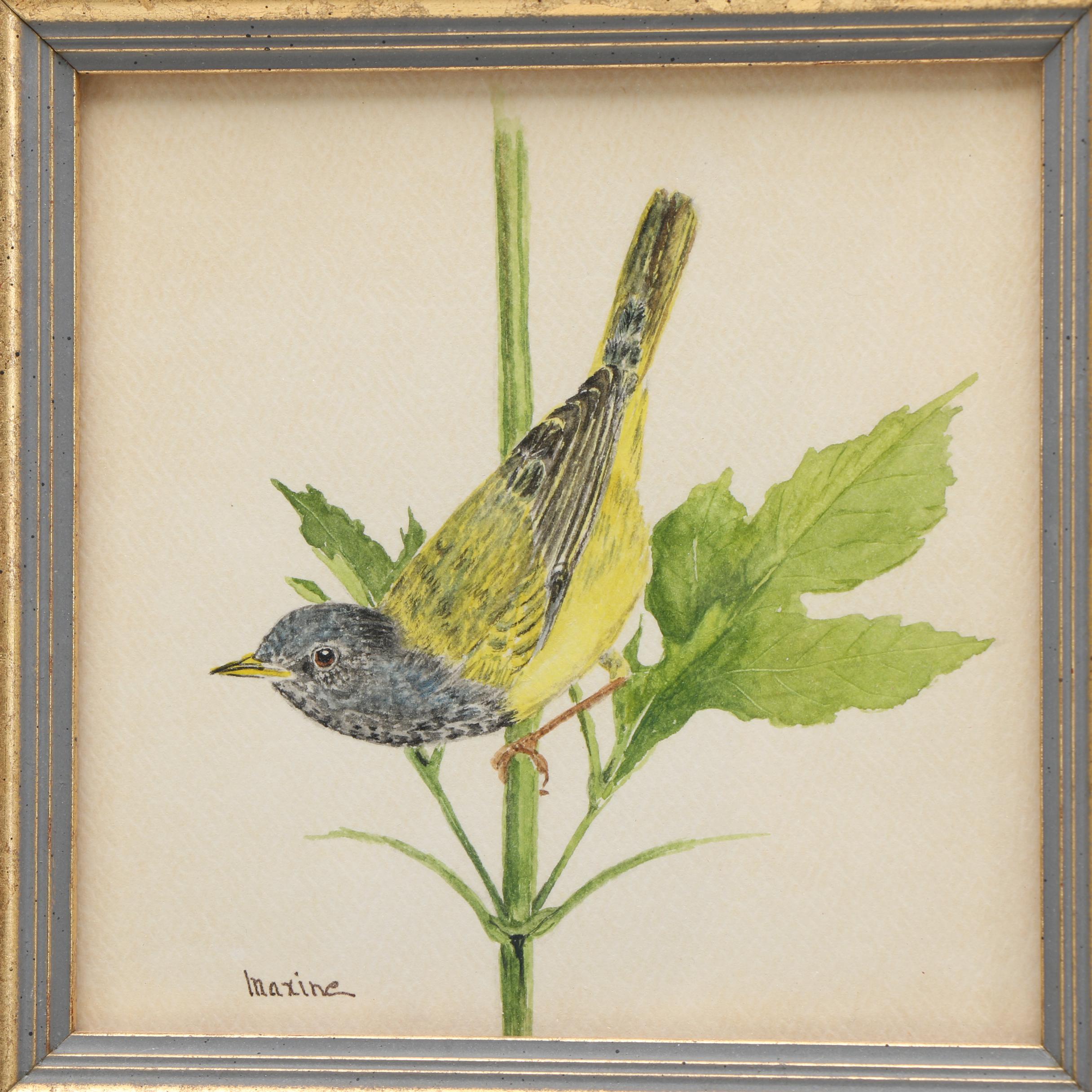 Maxine Watercolor Paintings on Paper of Birds