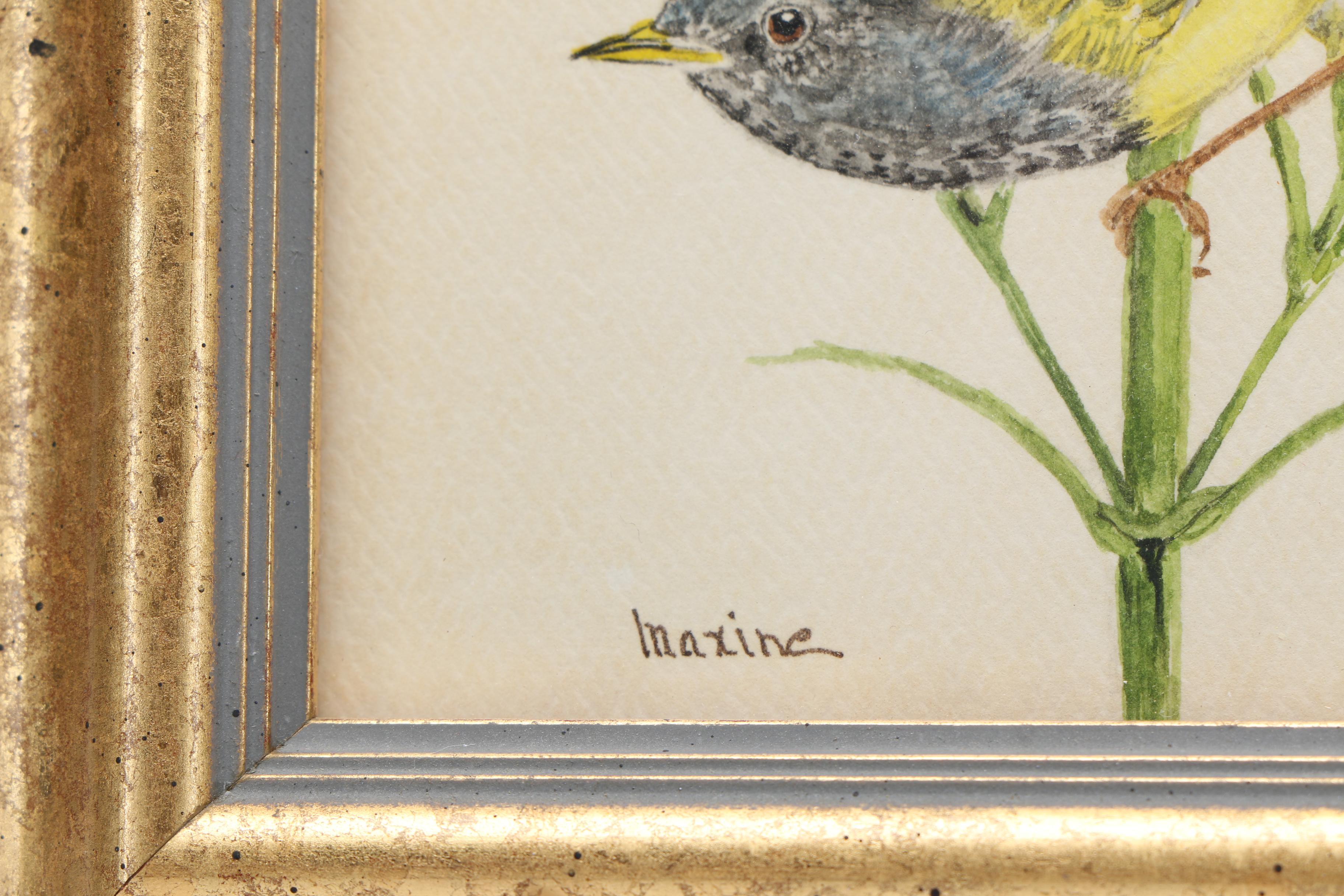 Maxine Watercolor Paintings on Paper of Birds
