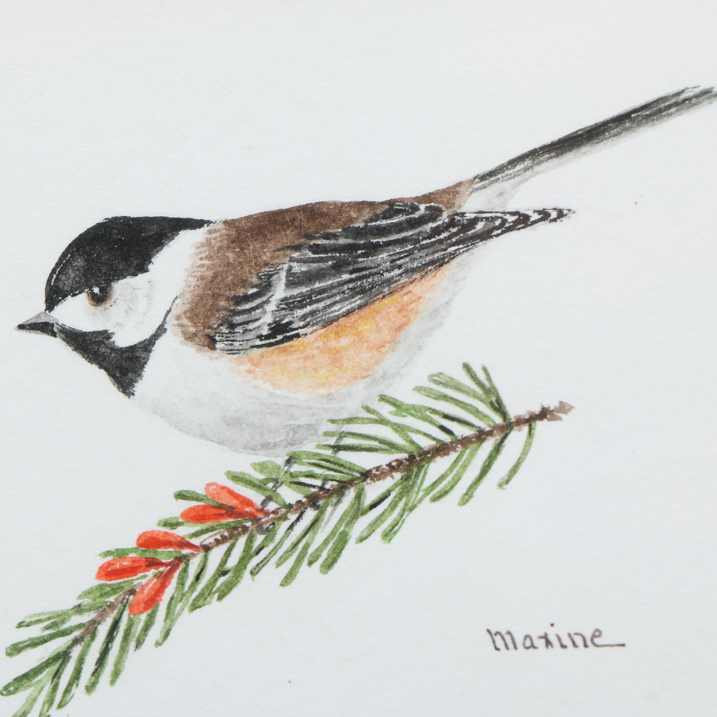 Maxine Watercolor Paintings on Paper of Birds