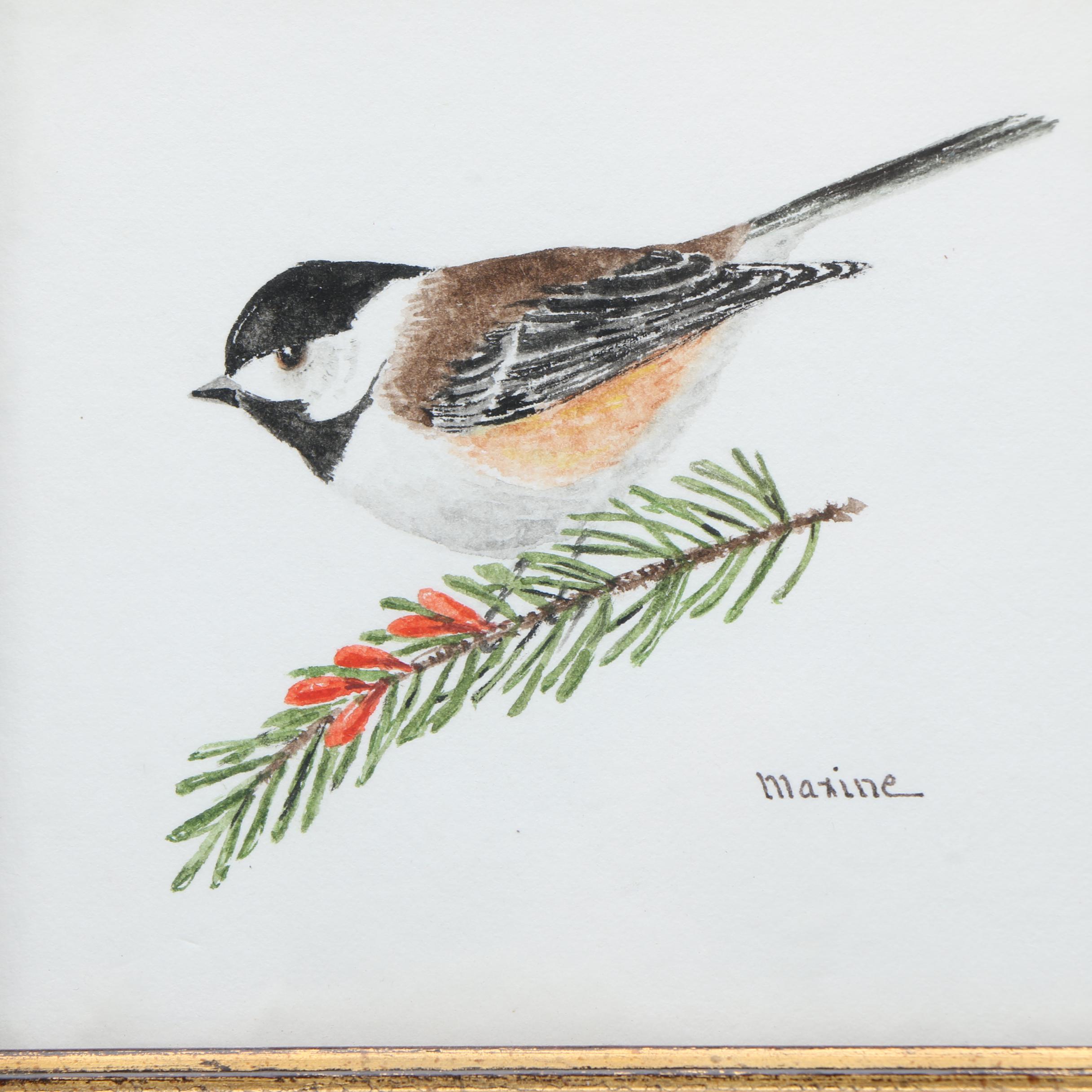 Maxine Watercolor Paintings on Paper of Birds