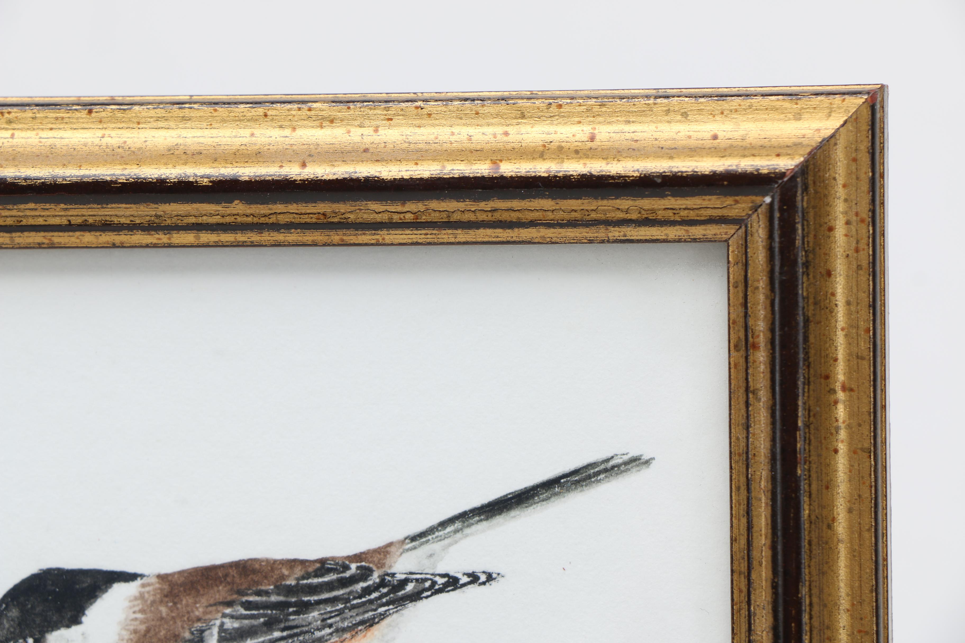 Maxine Watercolor Paintings on Paper of Birds