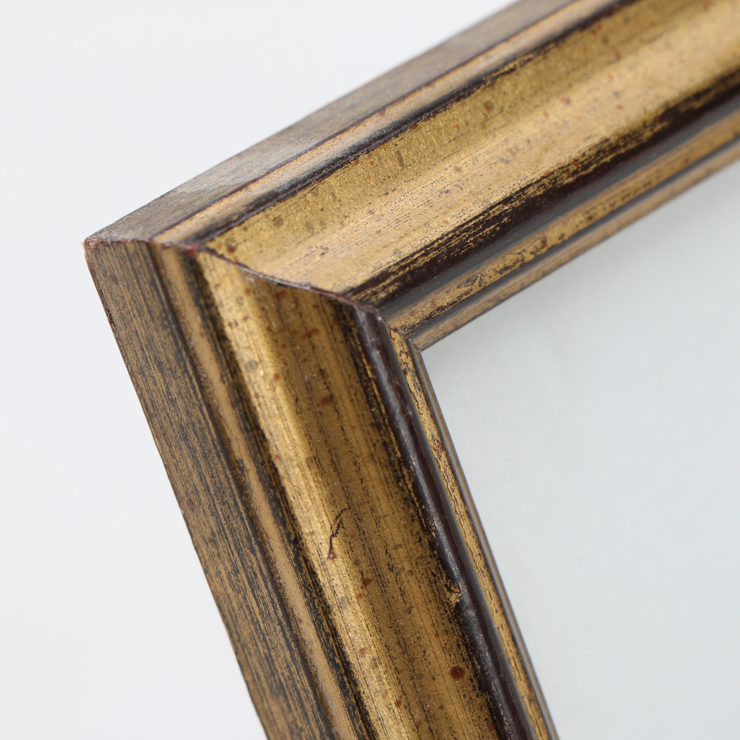 Maxine Watercolor Paintings on Paper of Birds