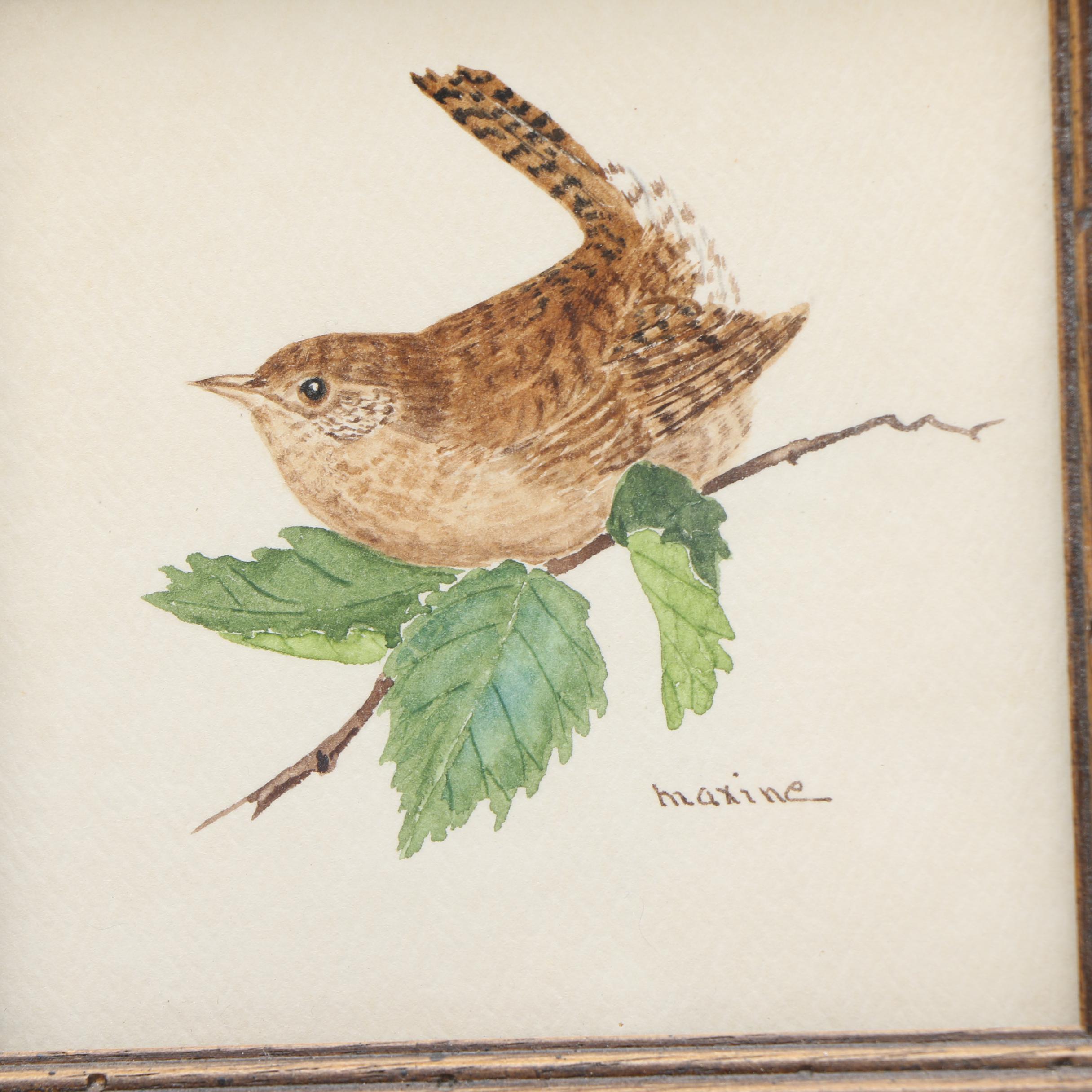 Maxine Watercolor Paintings on Paper of Birds