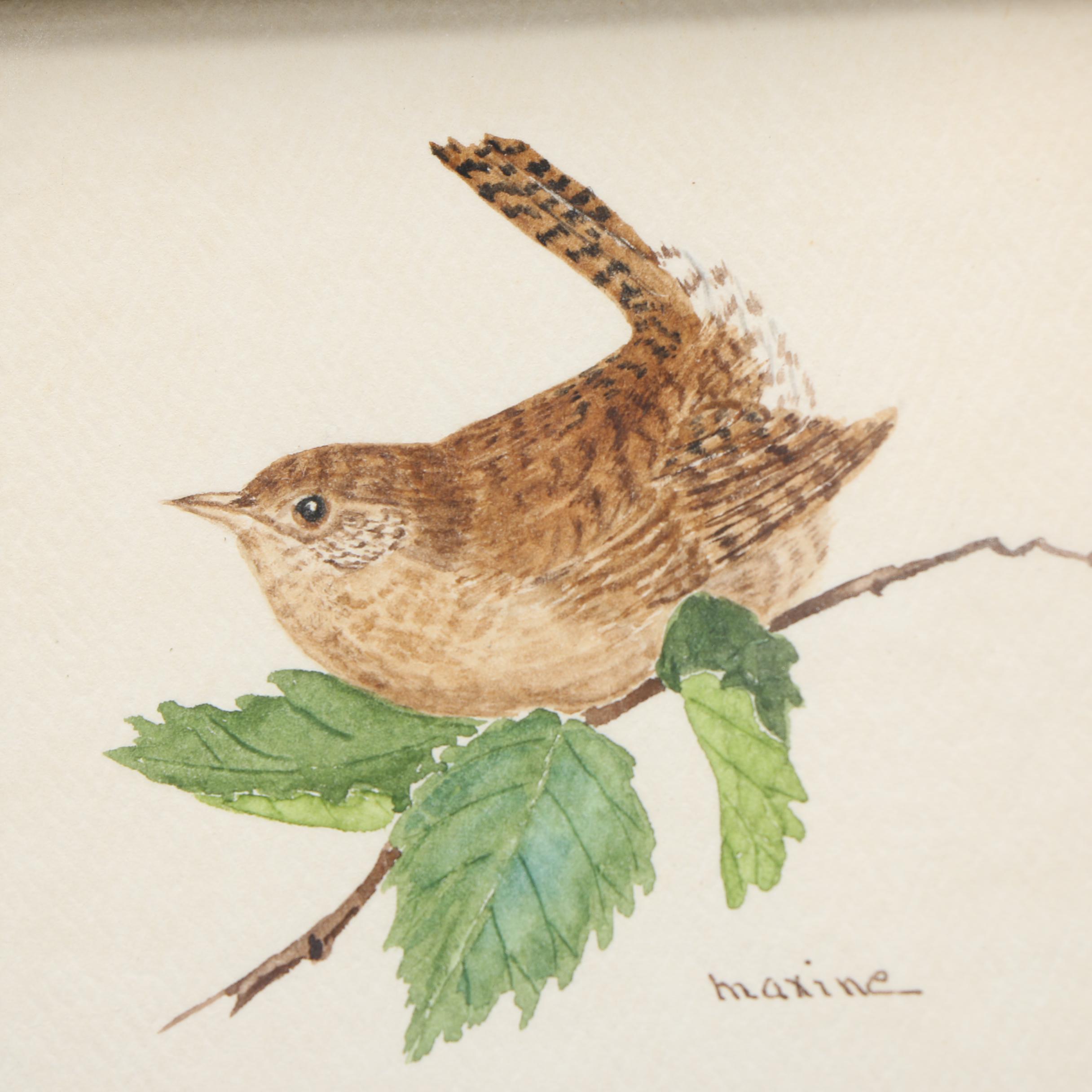 Maxine Watercolor Paintings on Paper of Birds