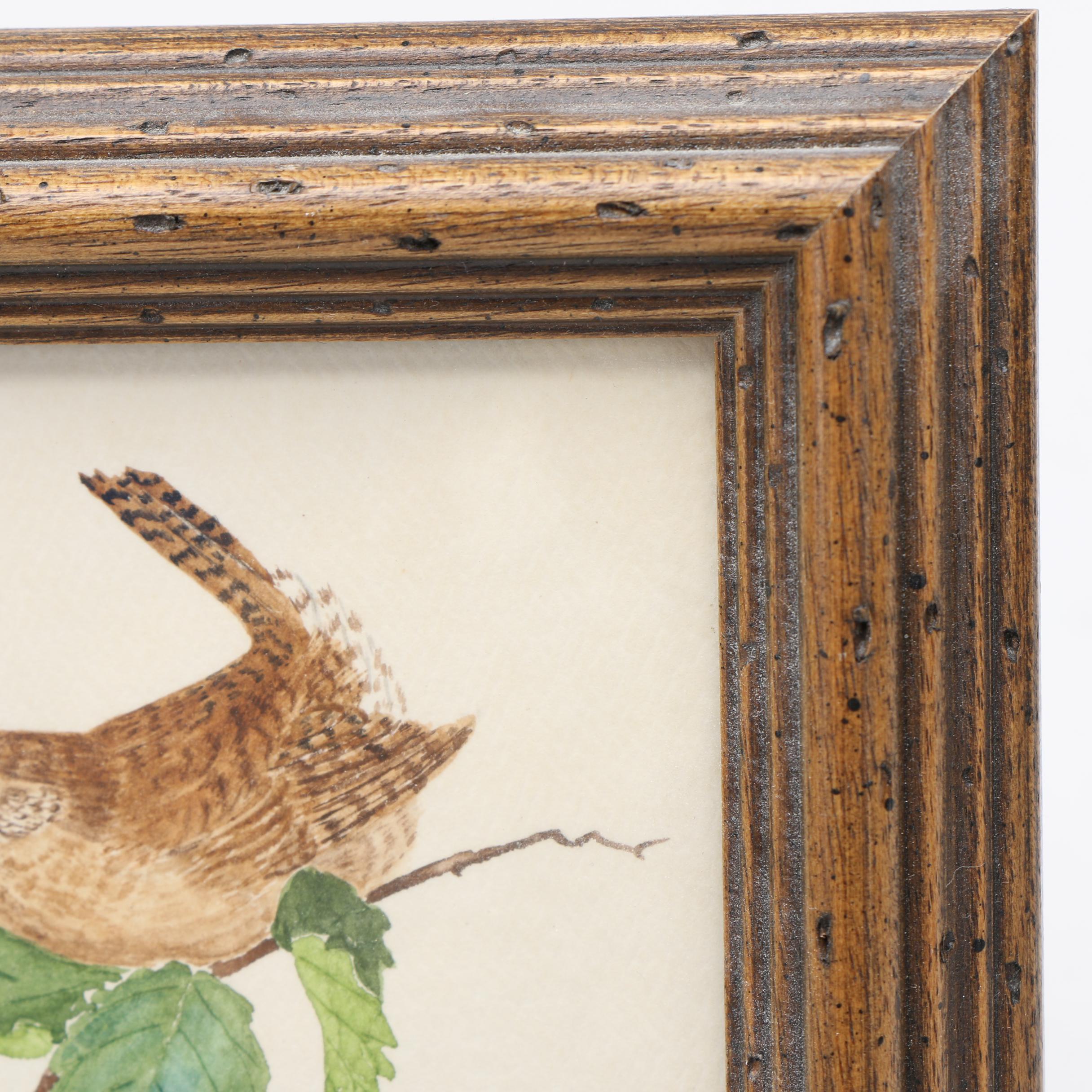 Maxine Watercolor Paintings on Paper of Birds