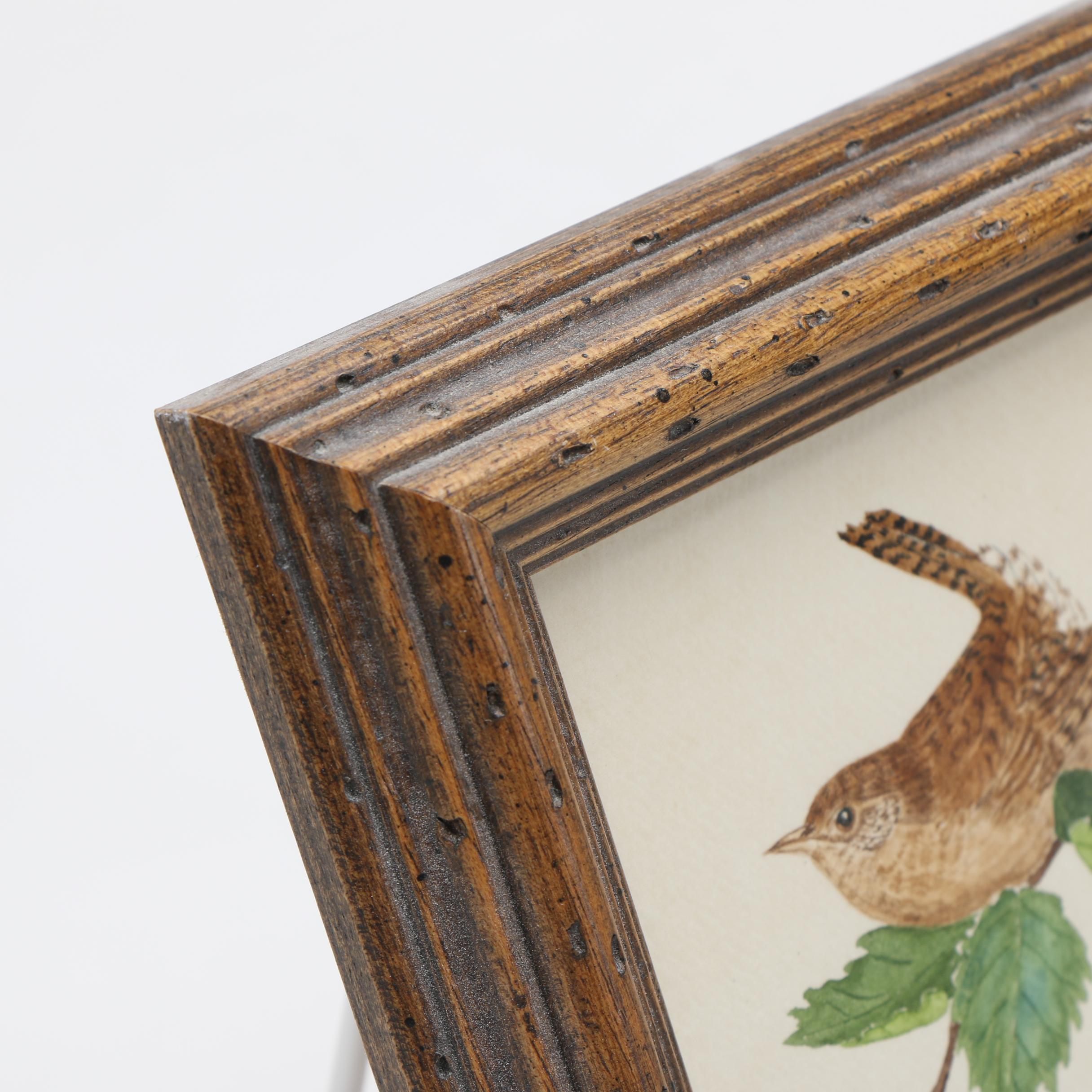 Maxine Watercolor Paintings on Paper of Birds