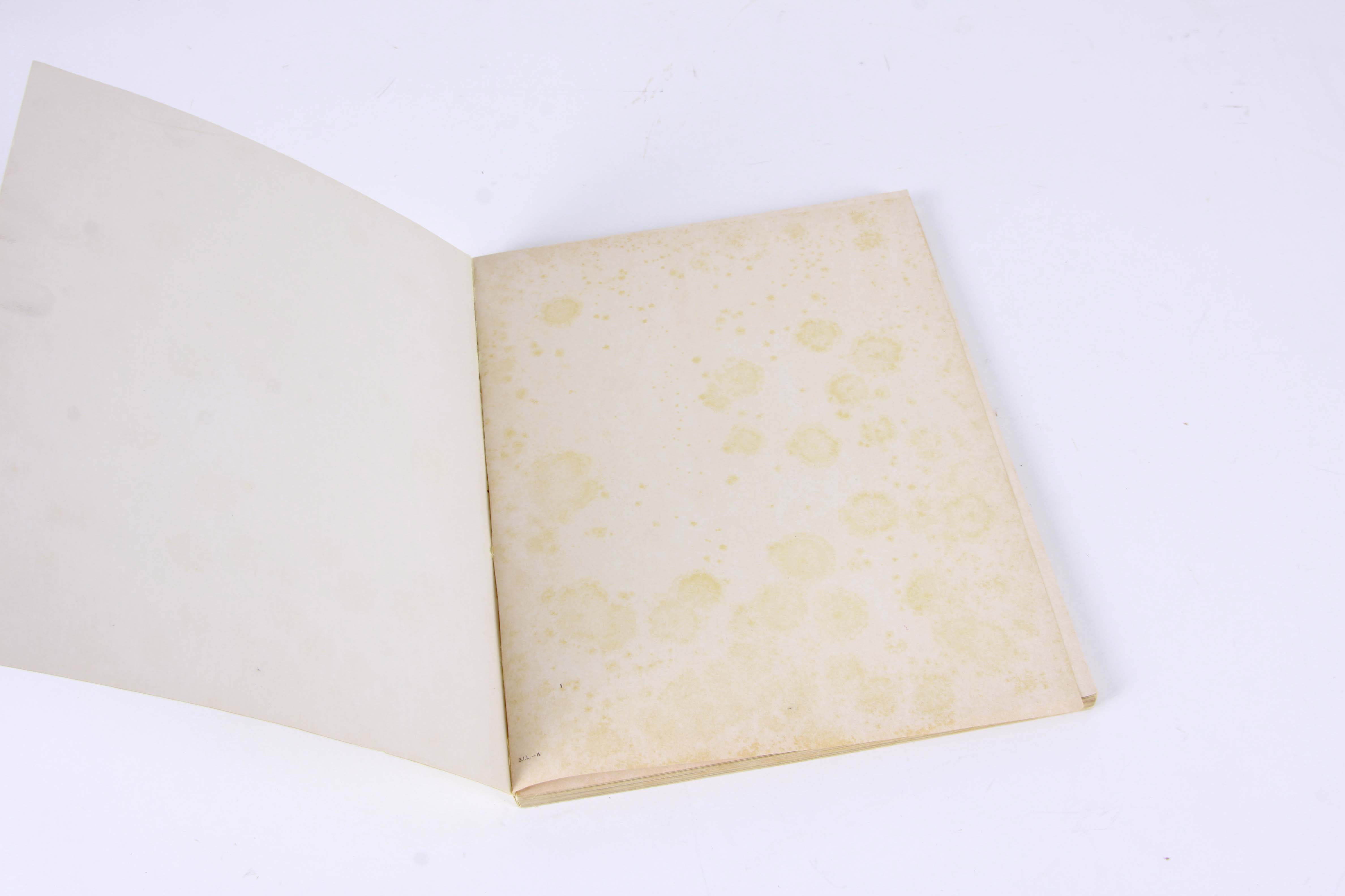 Beatles, Chuck Berry, Springsteen and Other Classic Rock LPs