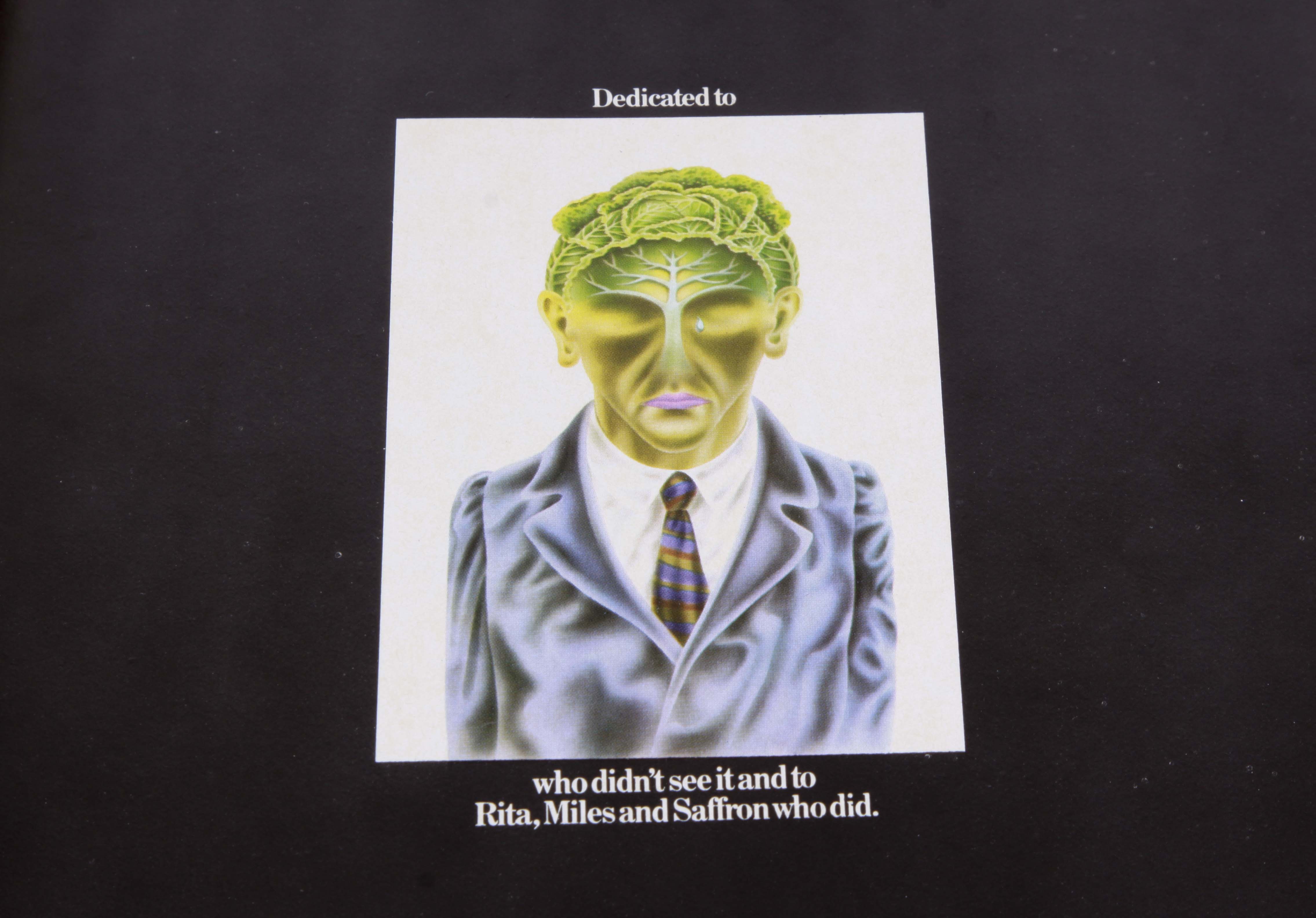 Beatles, Chuck Berry, Springsteen and Other Classic Rock LPs