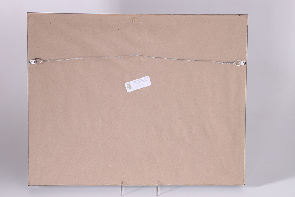 1986-1987 Boston Celtics Signed Team Picture