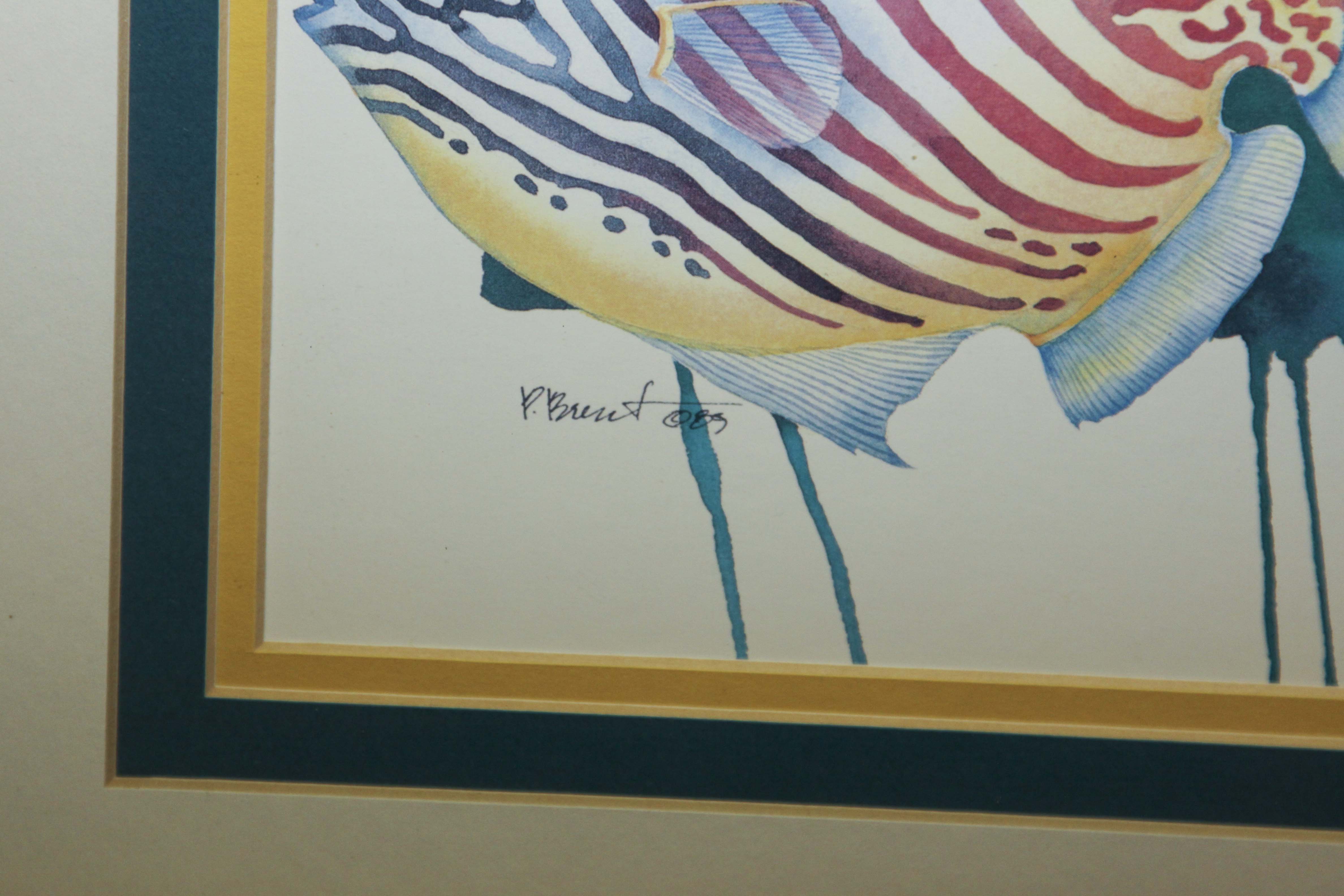 Tropical Decor Assortment