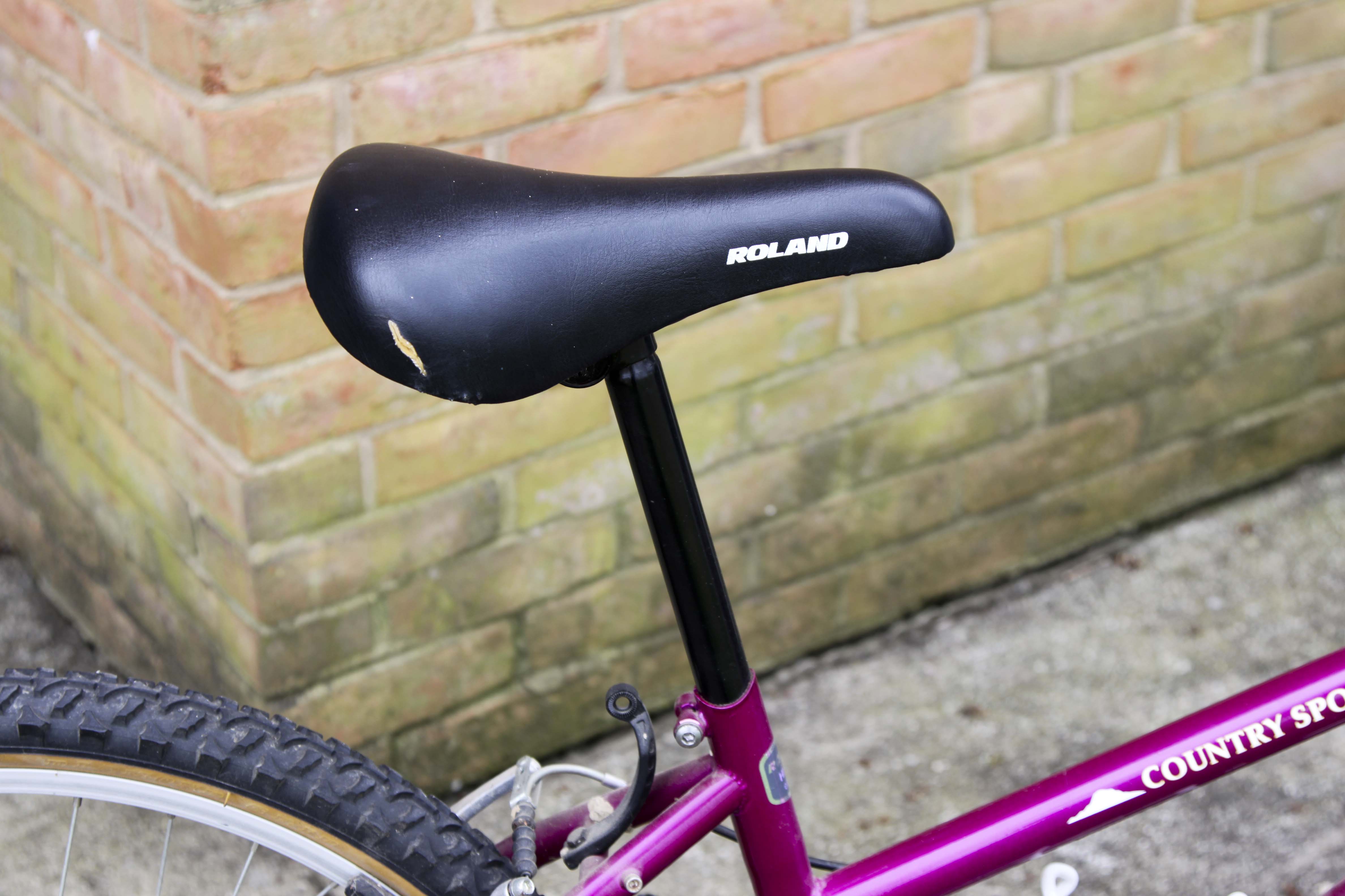 A Roland Women's Bicycle and a Men's Trek 7500 Bicycle