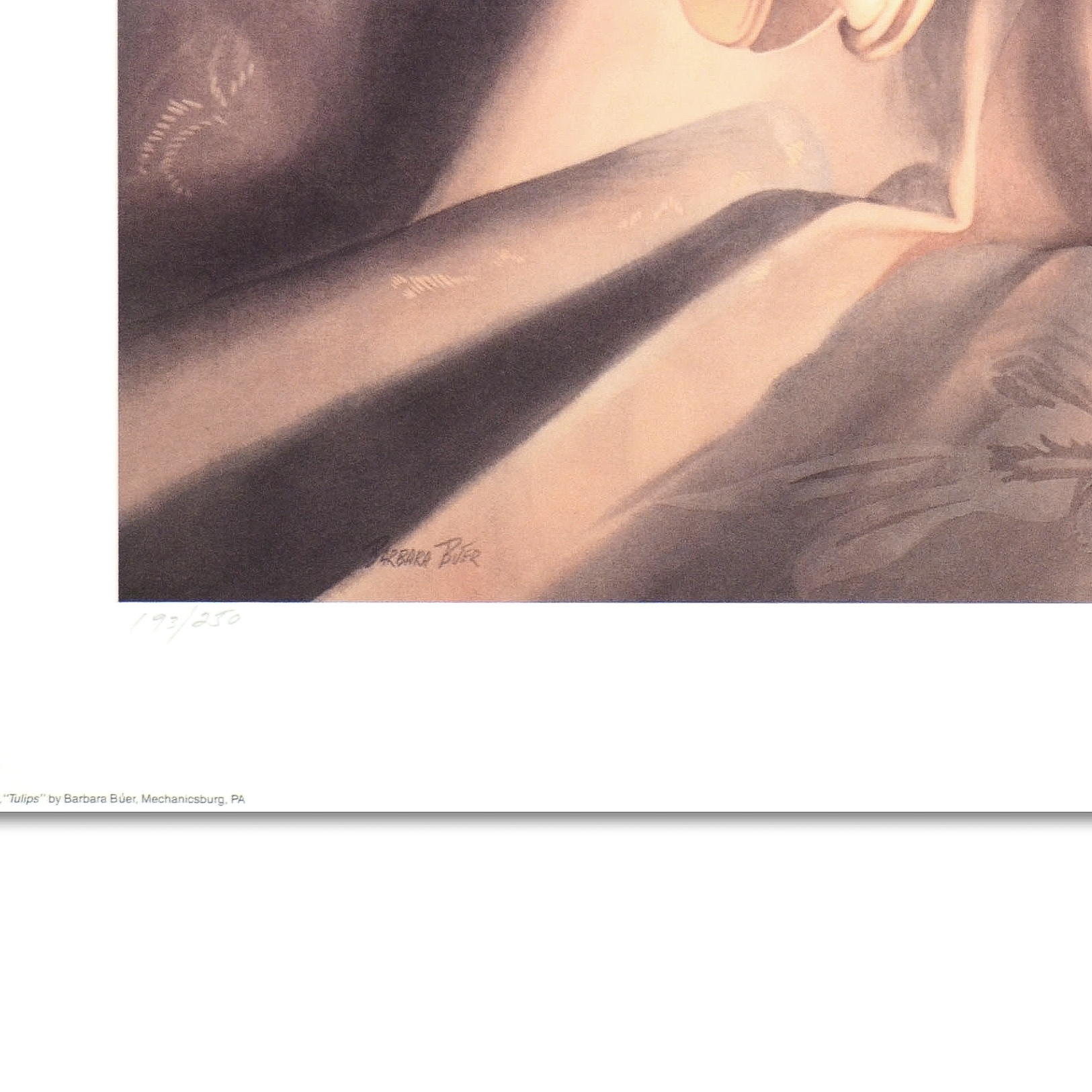 Barbara Buer Limited Edition Offset Lithograph "Tulips"