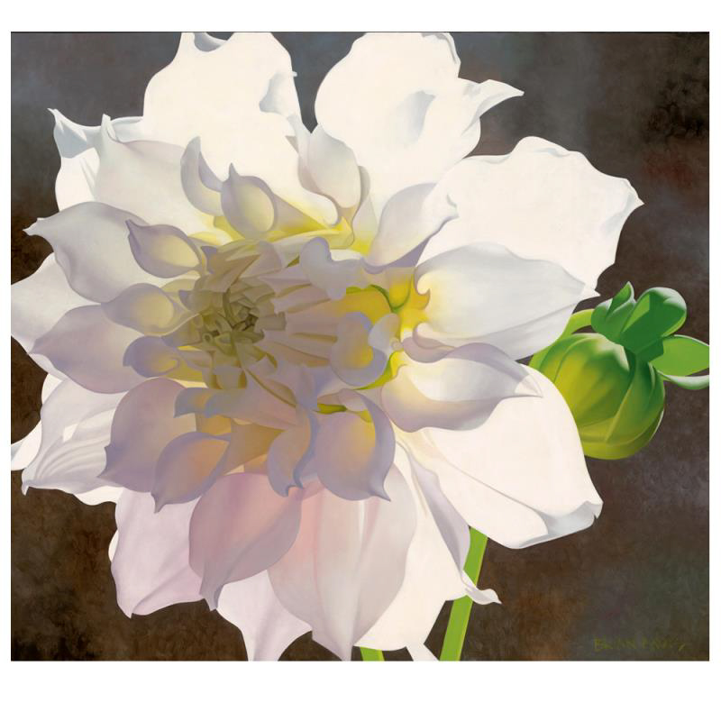 Brian Davis Signed Artist's Proof Giclee on Canvas "Pale Pink Dahlia"
