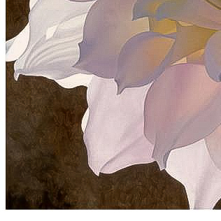 Brian Davis Signed Artist's Proof Giclee on Canvas "Pale Pink Dahlia"