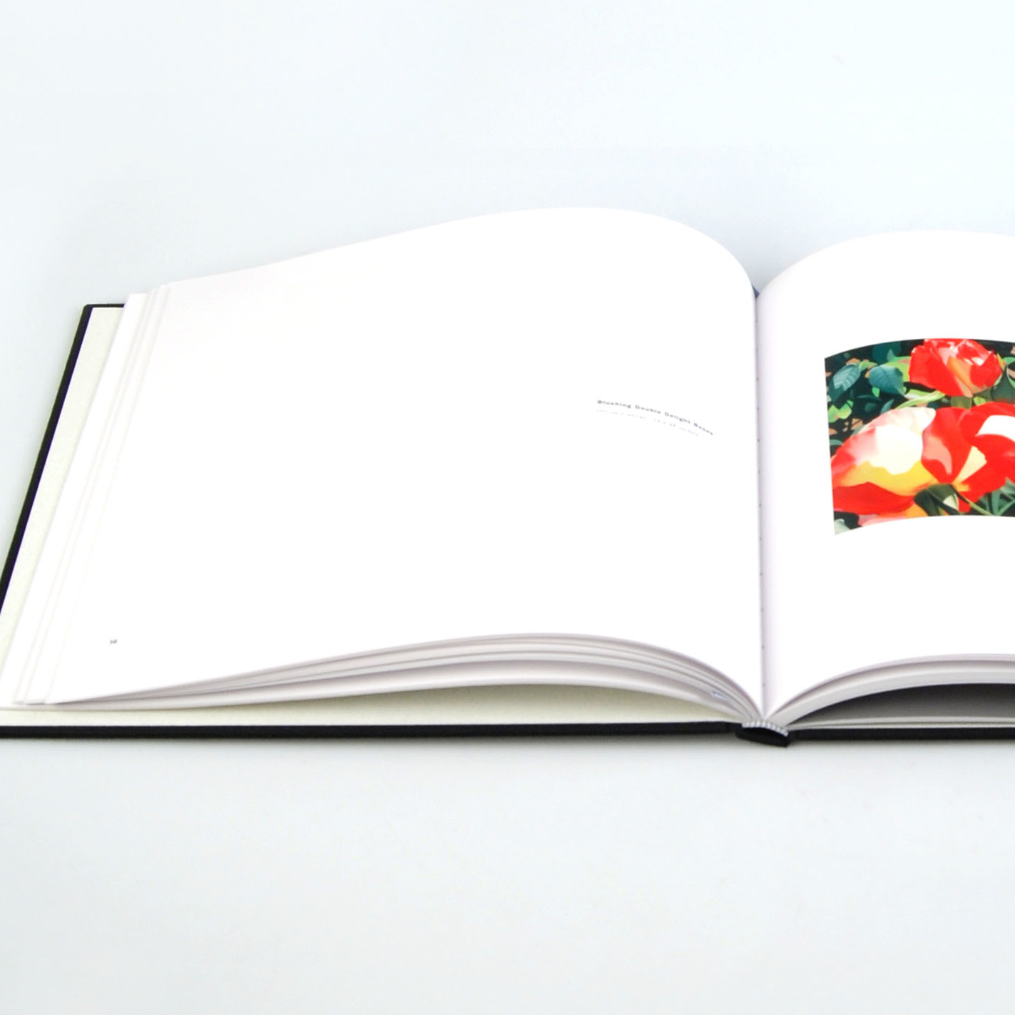 "Brian Davis: Contemporary Master in a Grand Tradition" Coffee Table Book