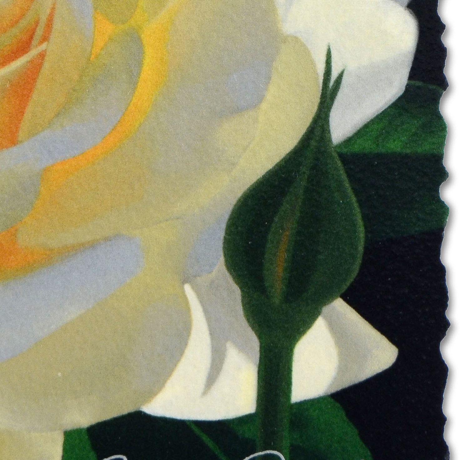 Signed "Brian Davis: Contemporary Master in a Grand Tradition" Coffee Table Book and "French Lace with Bud" Giclée