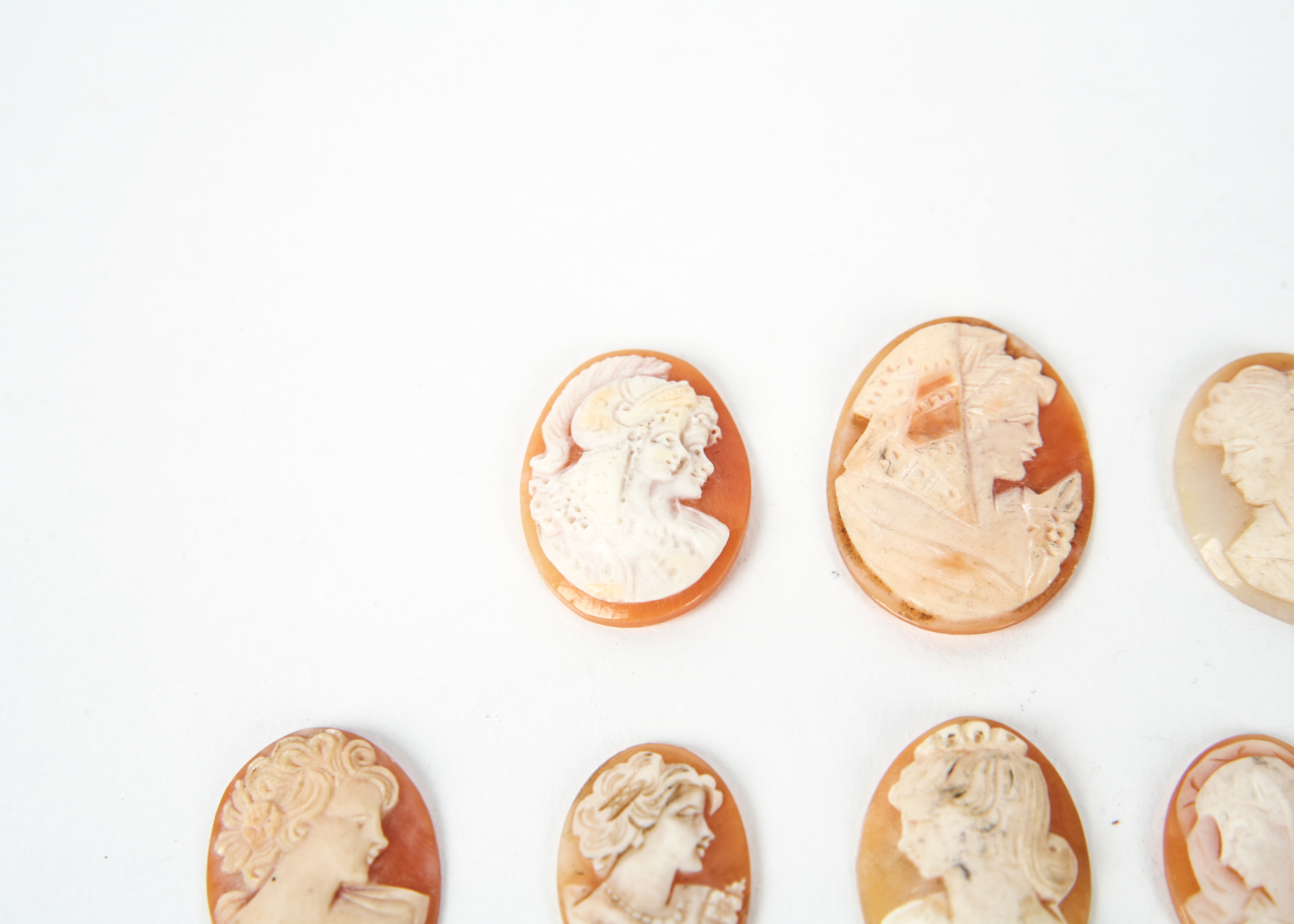 Vintage Shell Cameos