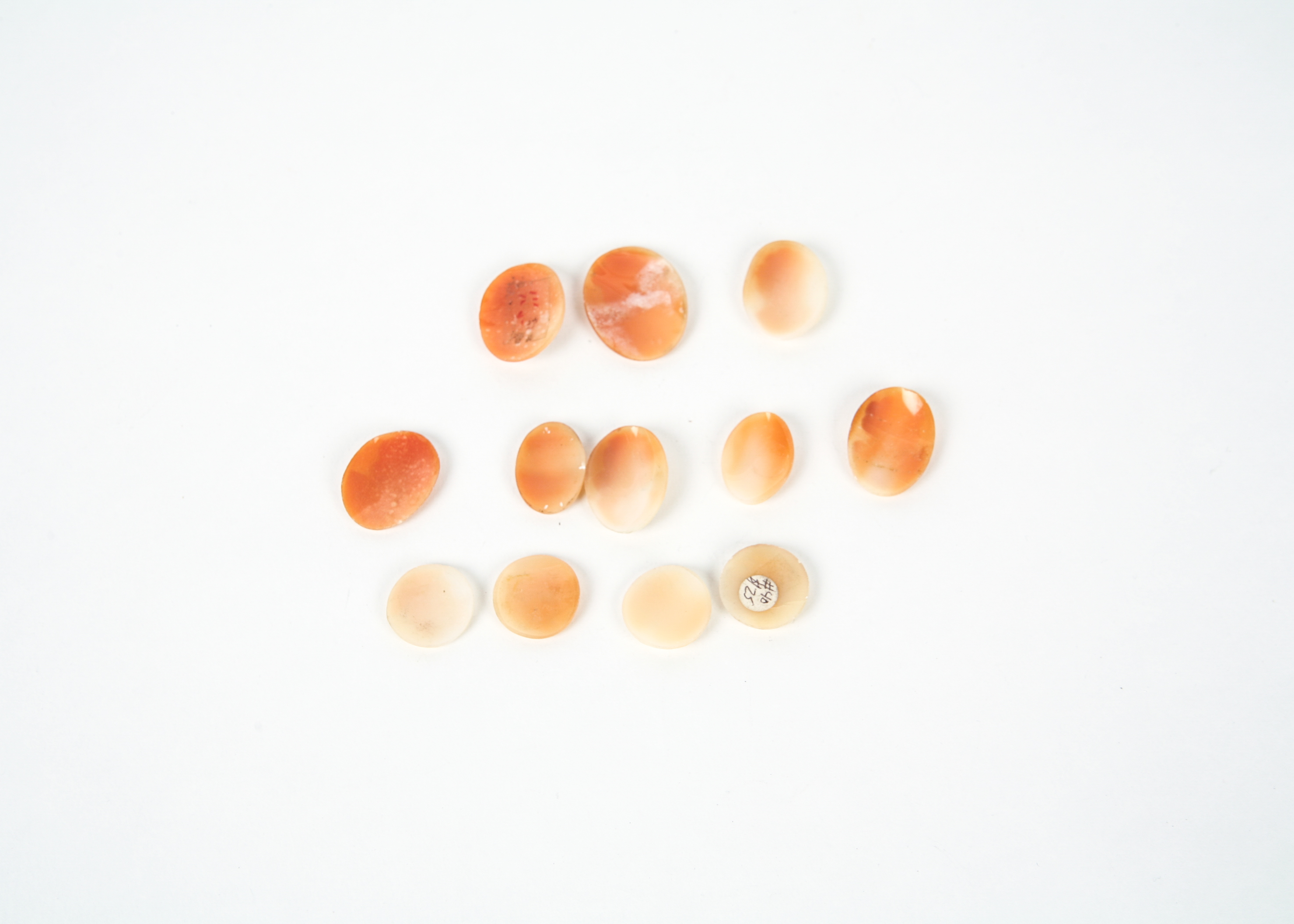 Vintage Shell Cameos