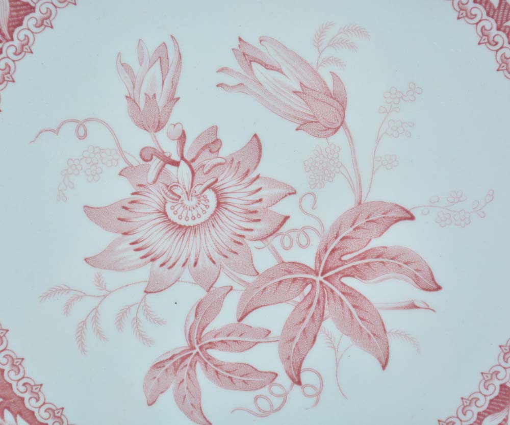 Spode "Georgian Series" Dinner Plates