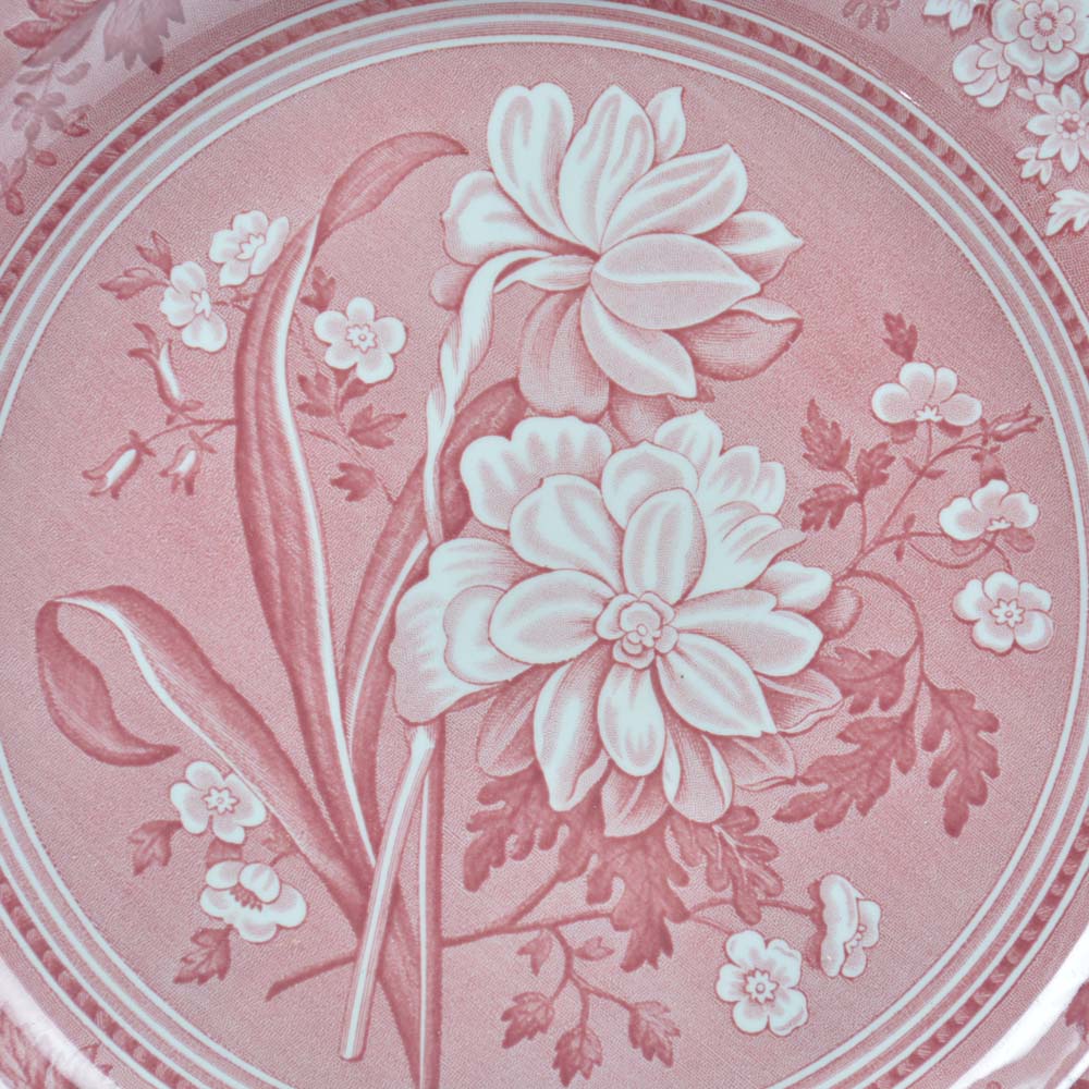 Spode "Georgian Series" Dinner Plates