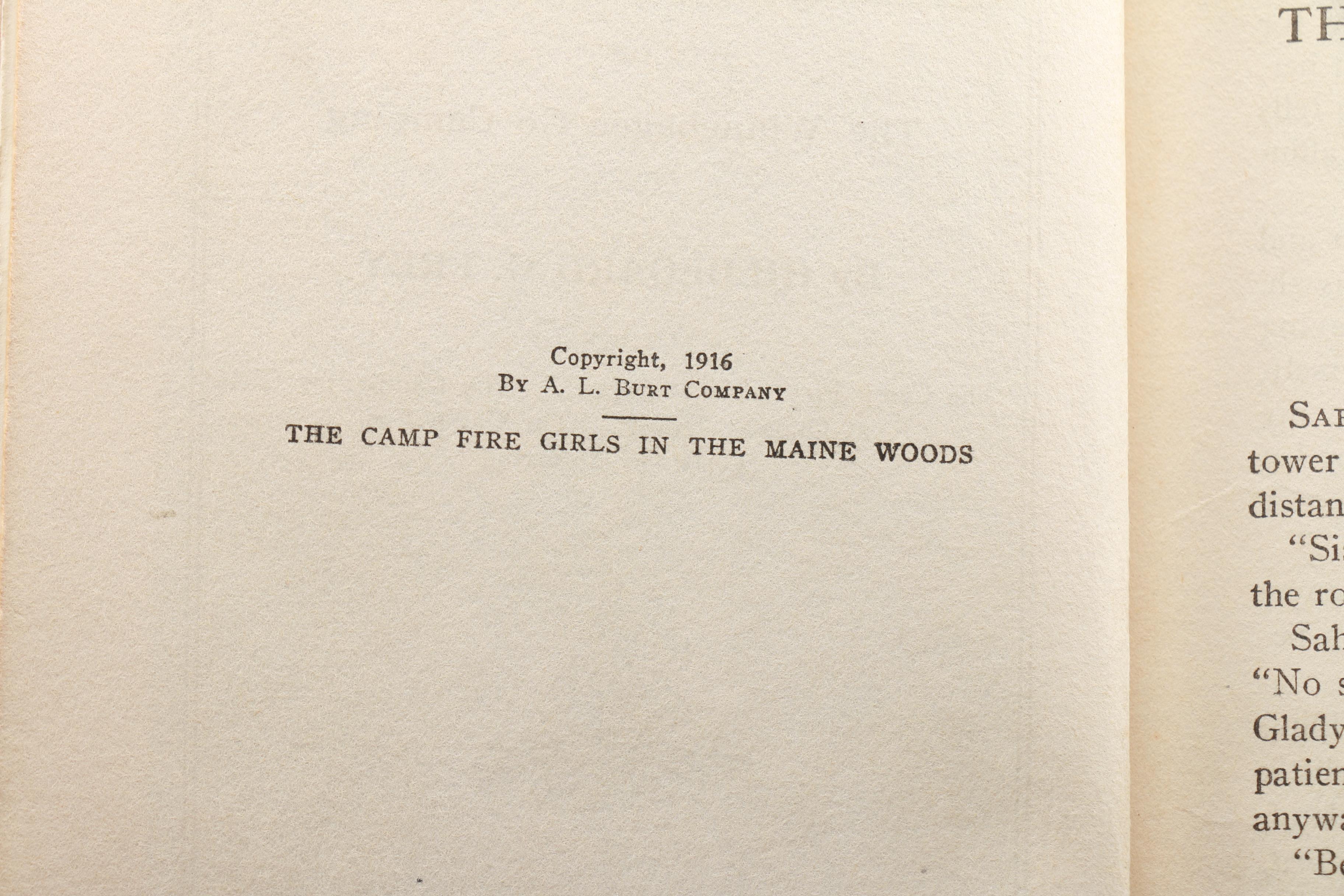Collection of Vintage Books including "The Campfire Girls in the Maine Woods"