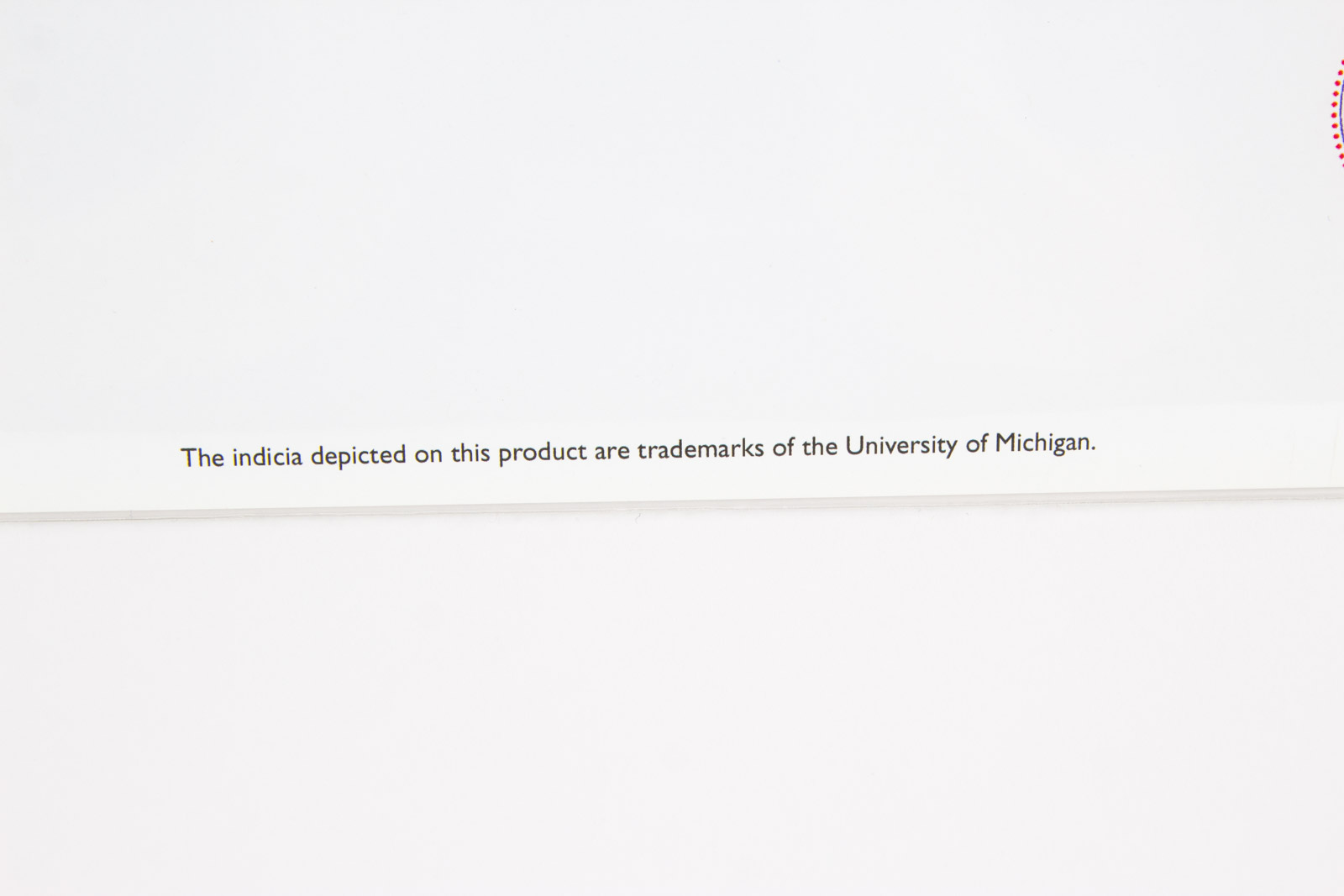 Looney Tunes "Touch Down" Michigan Wolverine Football Lithograph