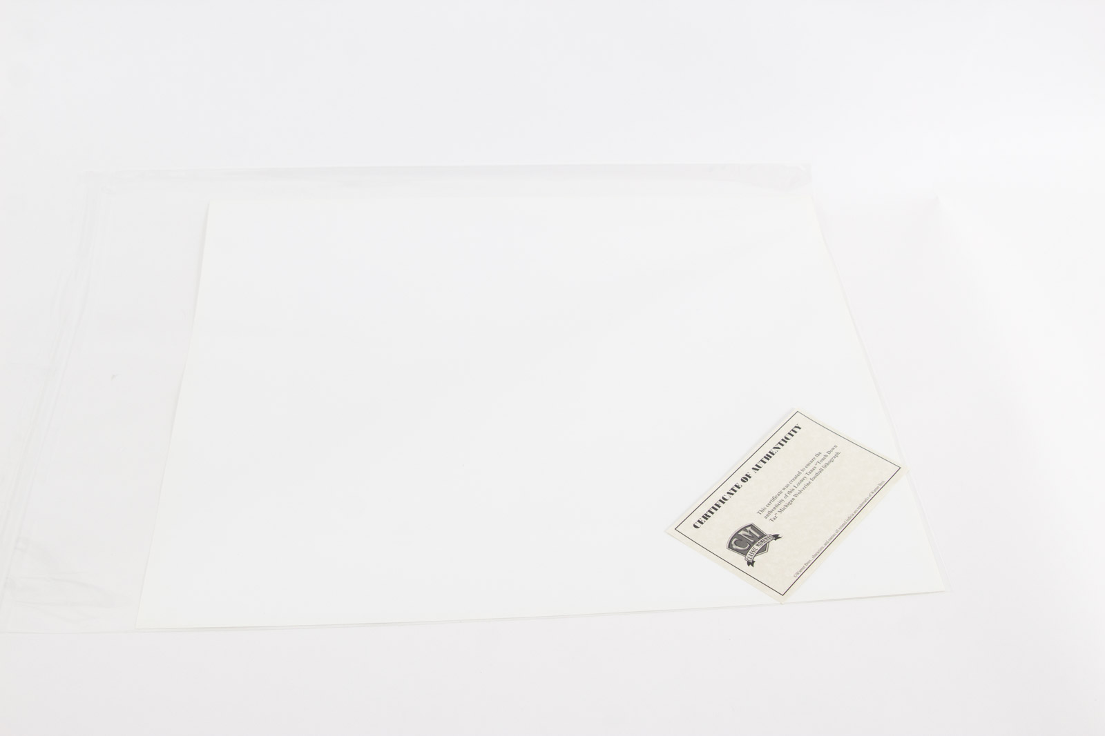 Looney Tunes "Touch Down" Michigan Wolverine Football Lithograph