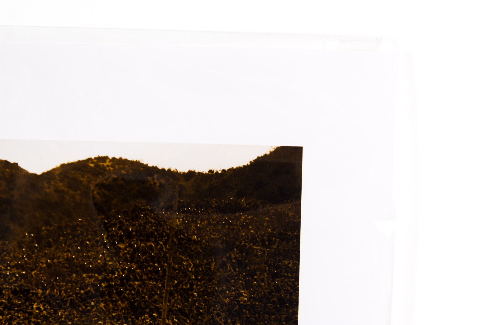 "Marilyn Monroe Sings For the Troops" Fuji Crystal Archival Photograph with Facsimile Autograph