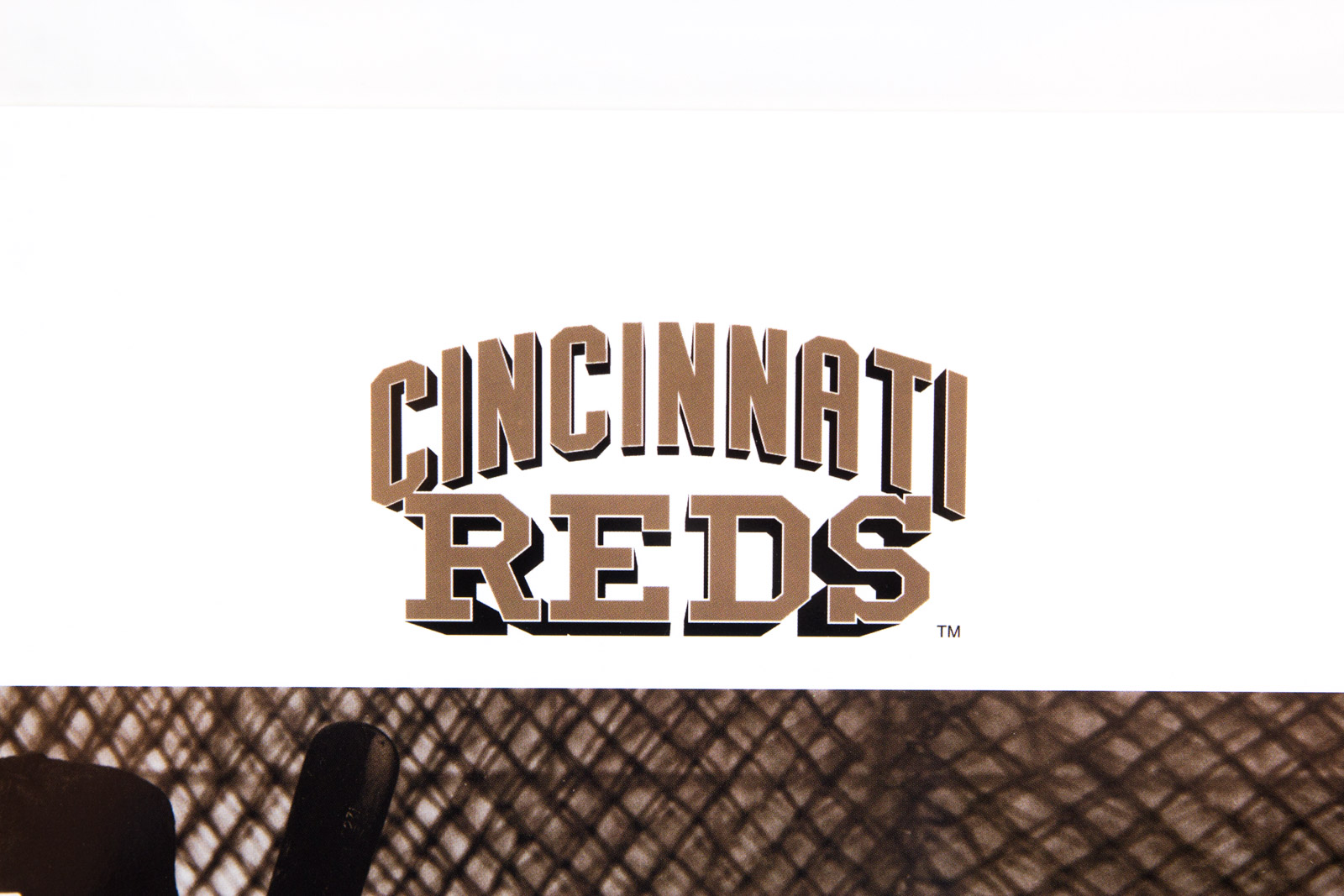 "Taz and Junior" Cincinnati Reds Photoanimation Offset Lithograph