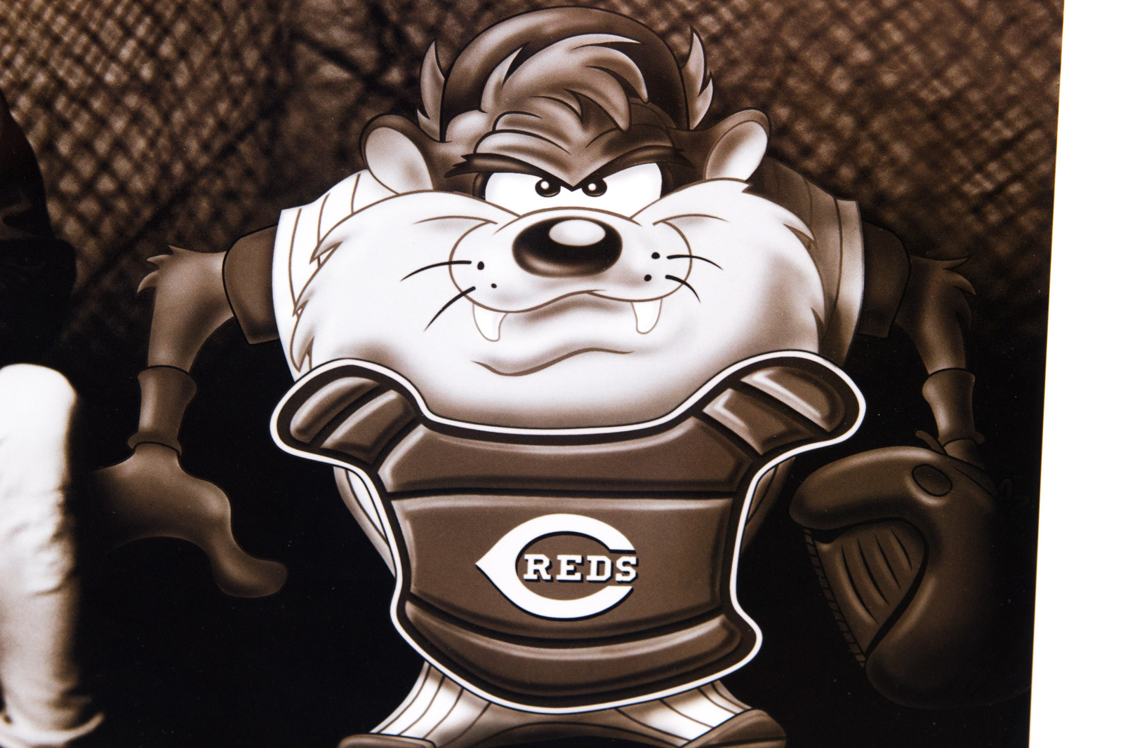 "Taz and Junior" Cincinnati Reds Photoanimation Offset Lithograph