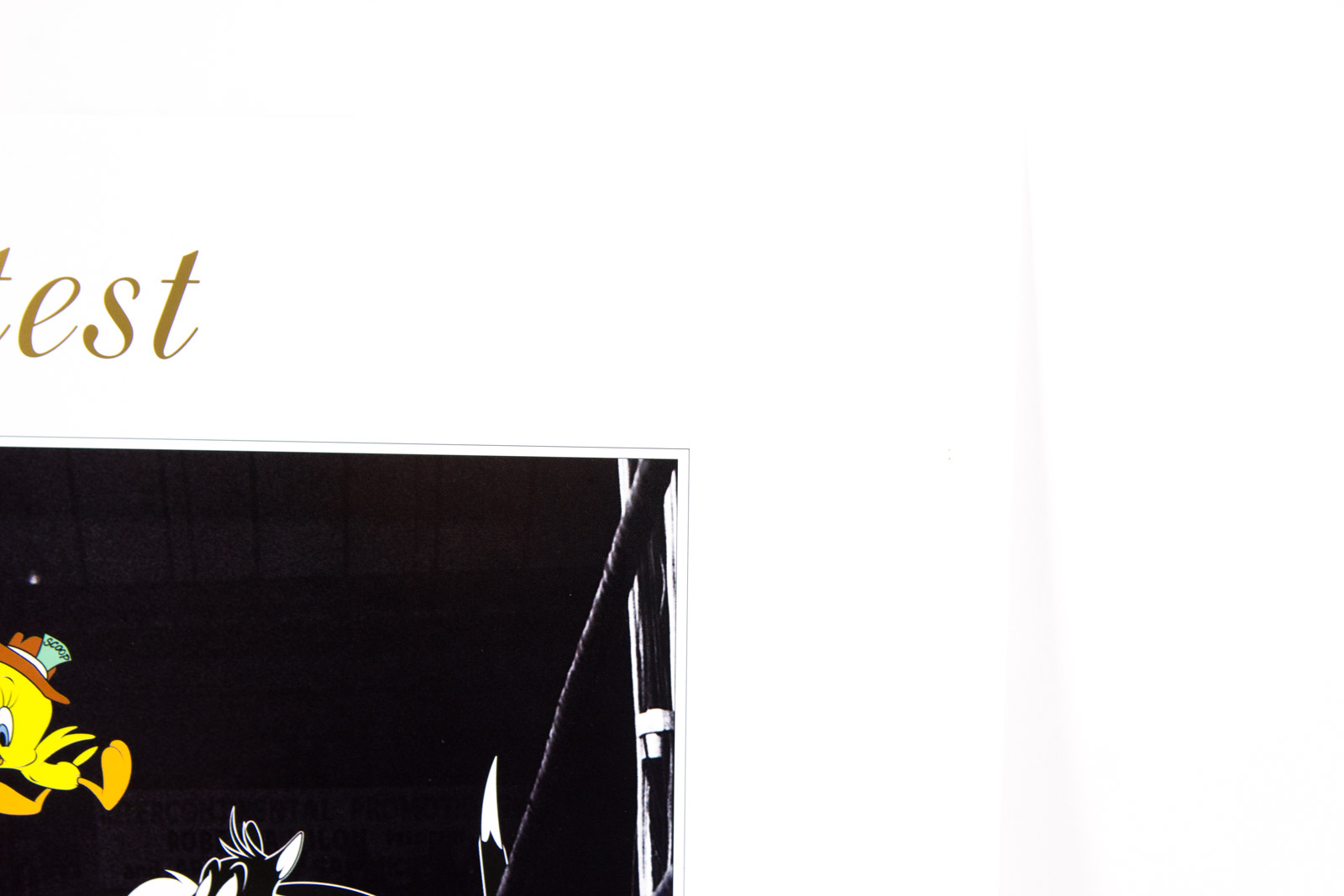 Muhammad Ali Signed "The Greatest" Boxing Photoanimation Offset Lithograph