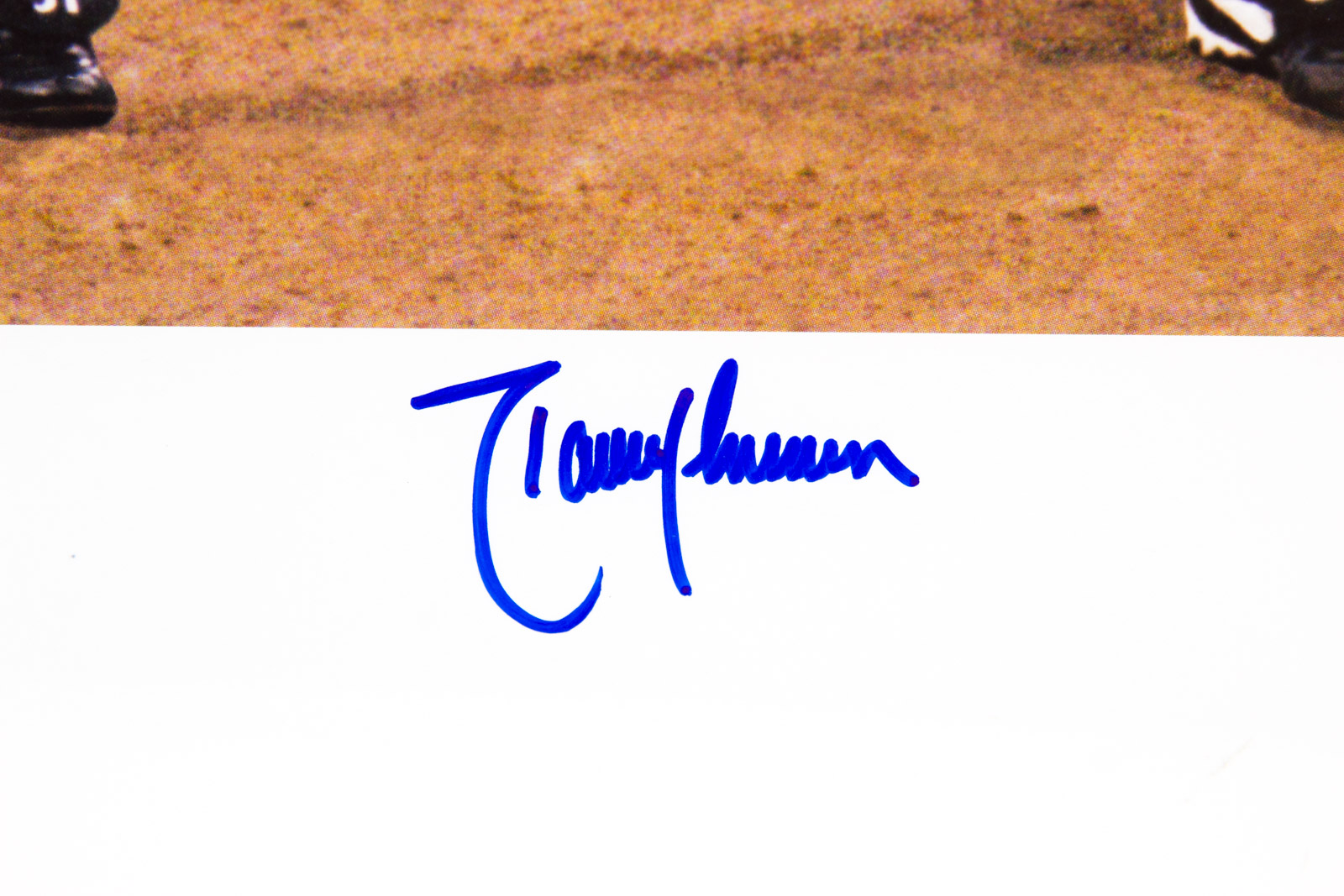 Randy Johnson Signed "The Big Unit" Diamond Back Photoanimation Offset Lithograph