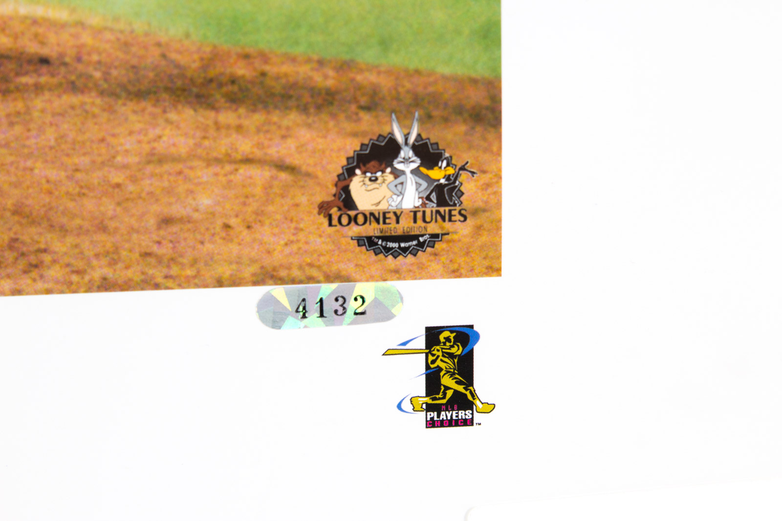 Randy Johnson Signed "The Big Unit" Diamond Back Photoanimation Offset Lithograph