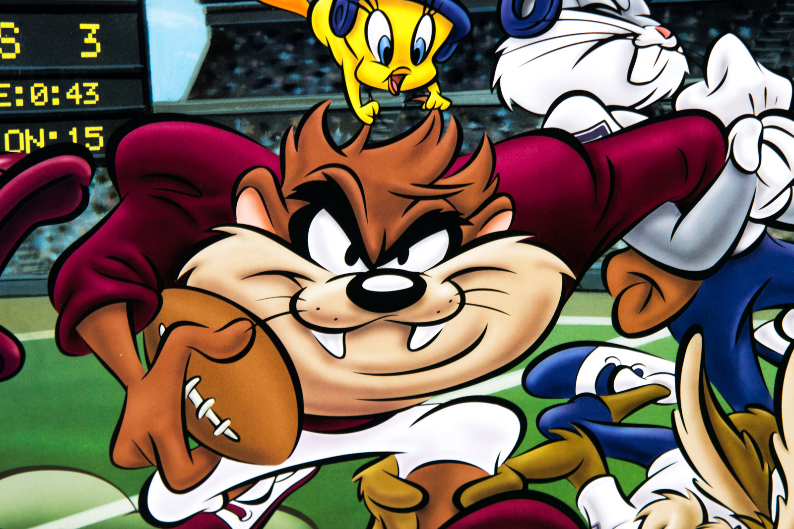 Frank Beamer Signed "Go Hokies" Virginia Tech Football Offset Lithograph