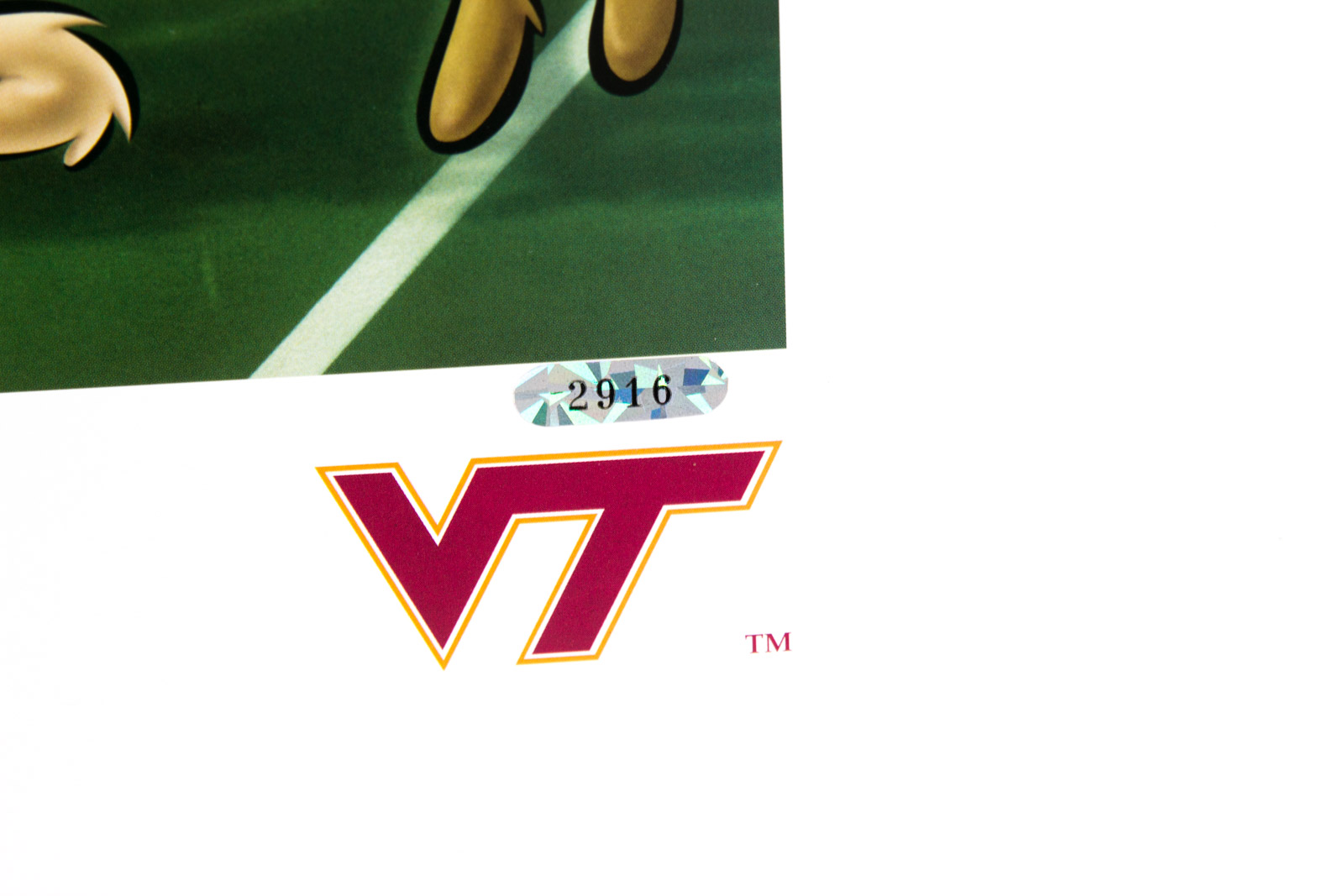 Frank Beamer Signed "Go Hokies" Virginia Tech Football Offset Lithograph