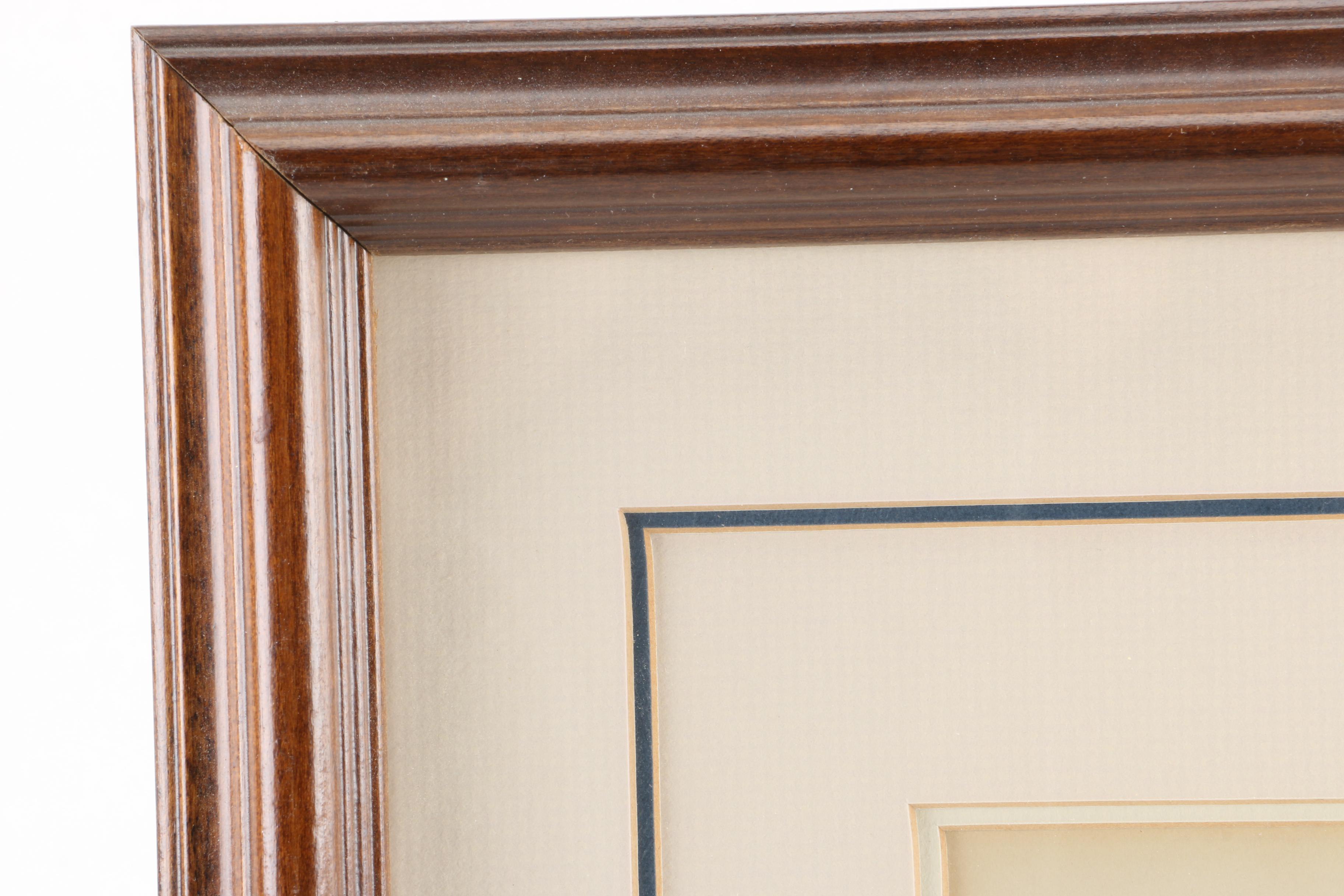 J.J. Audubon Offset Lithograph Print Collie's Magpie-Jay