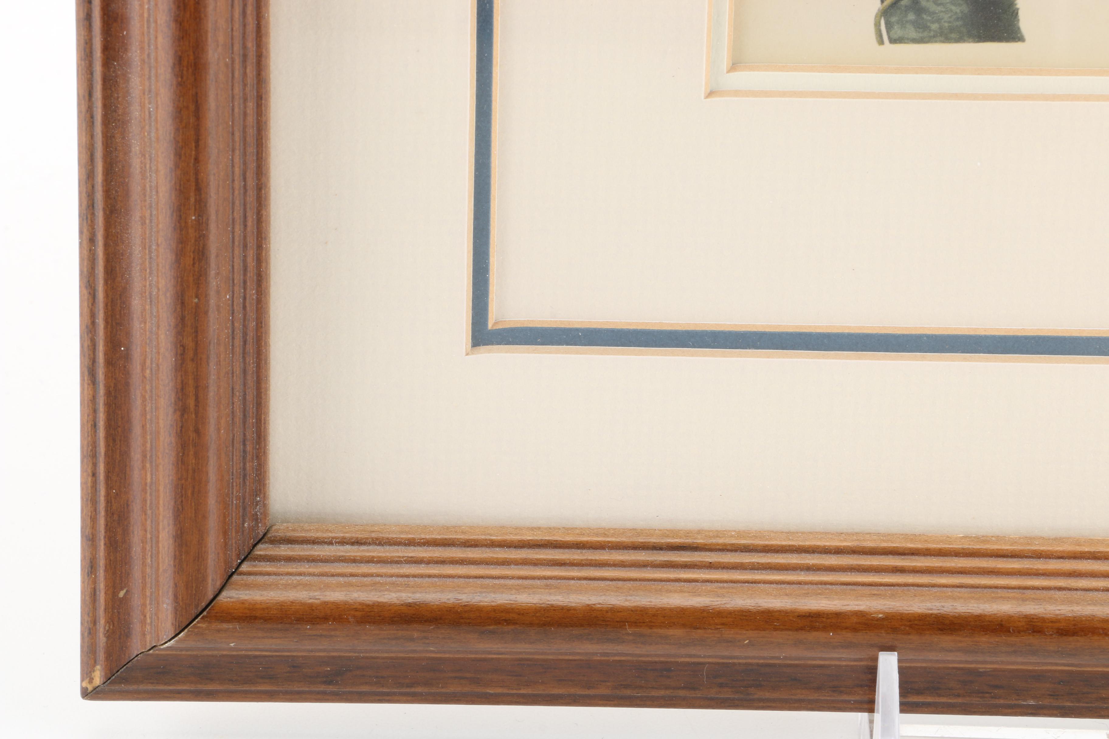 J.J. Audubon Offset Lithograph Print Collie's Magpie-Jay