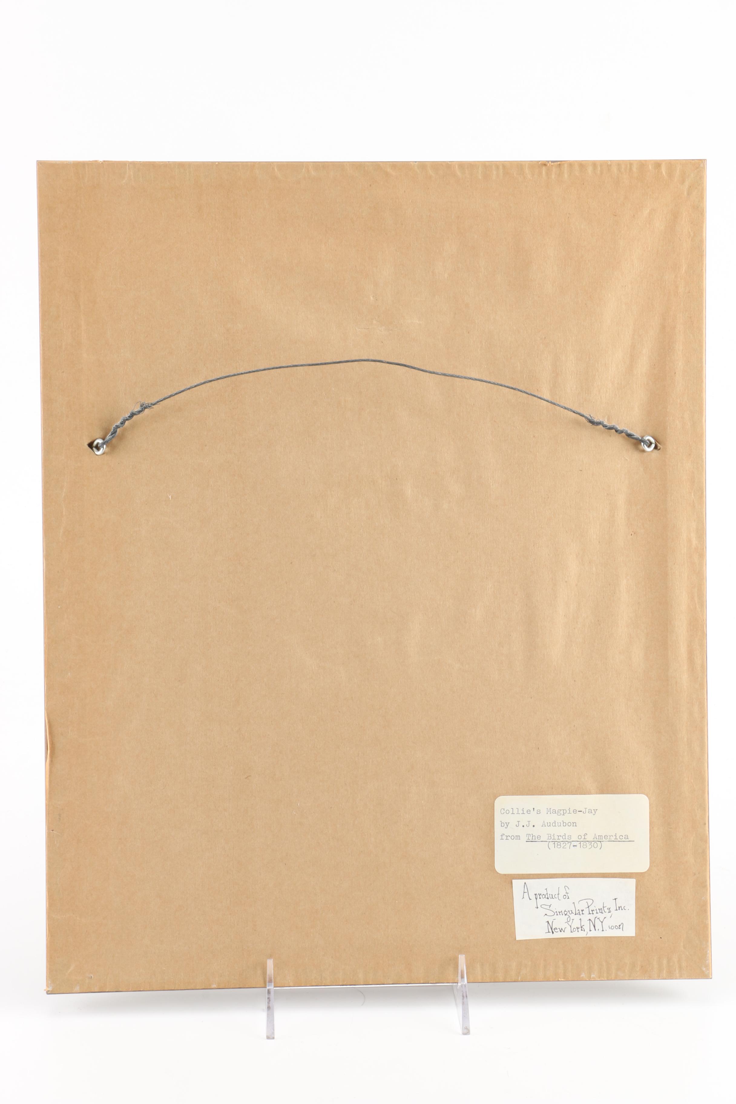 J.J. Audubon Offset Lithograph Print Collie's Magpie-Jay