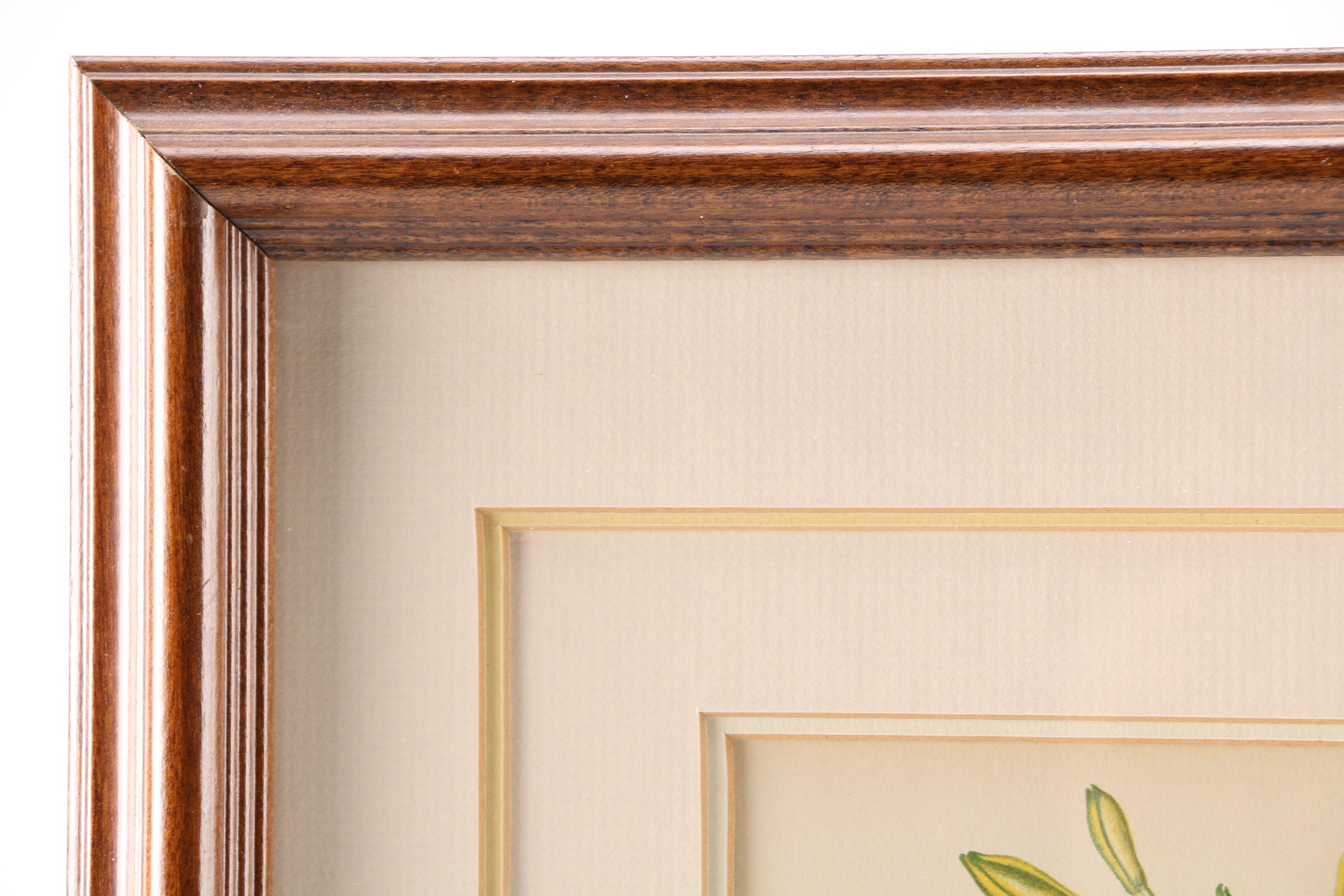 After Edith F. Johnston Framed Lithograph "Lemon Day-Lilly"