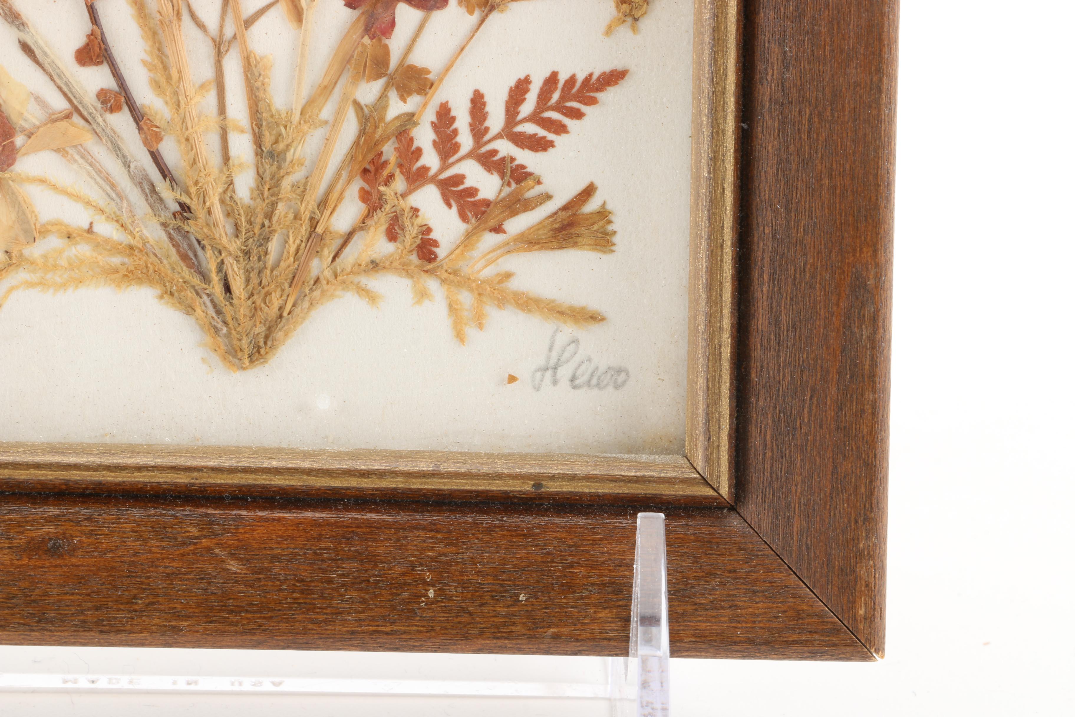 Pressed Daisy Shadow Box