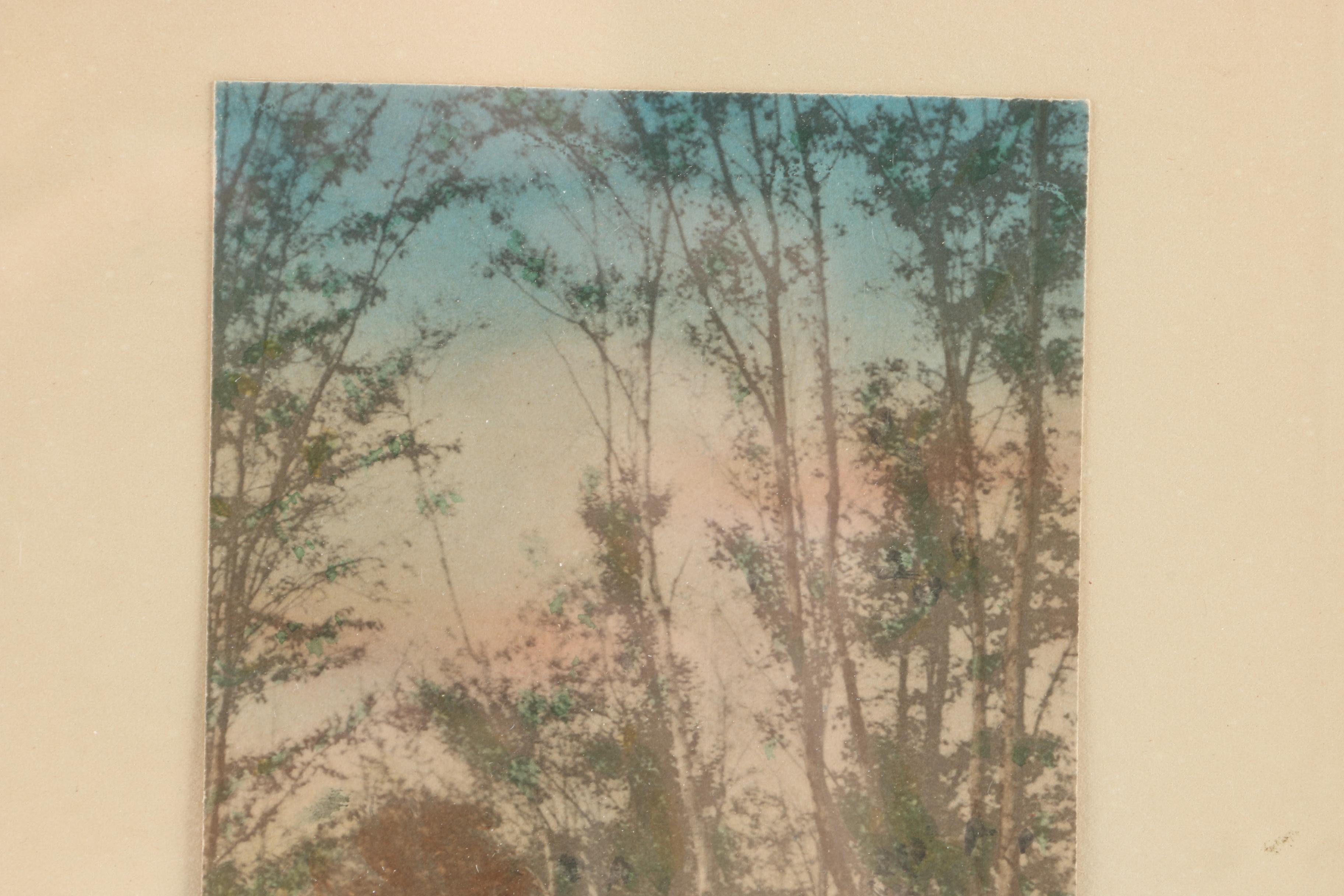 Wallace Nutting Mounted Lithograph of Country Road Through Trees