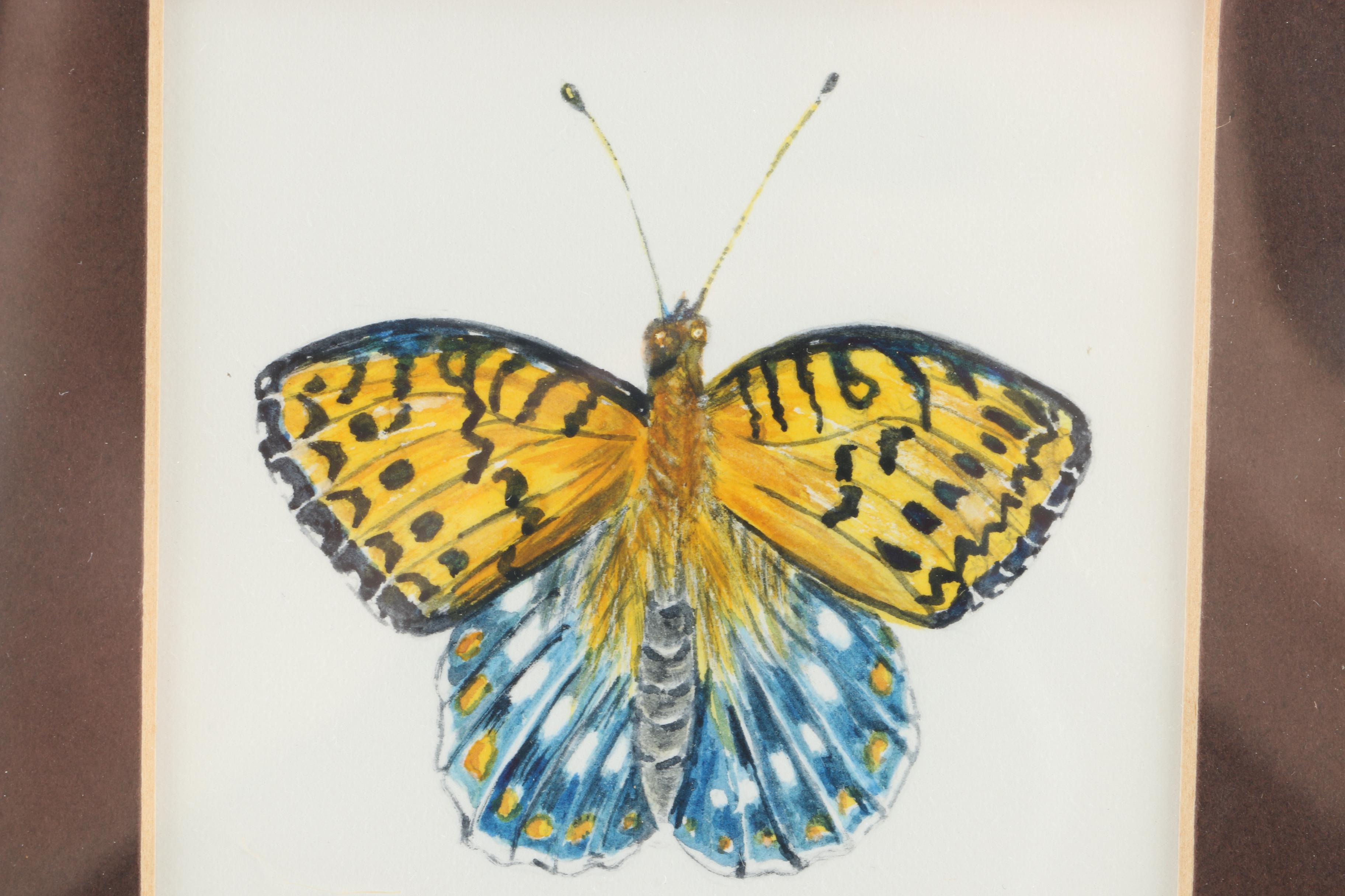 Original Watercolor Painting of Regal Fritillary Butterfly