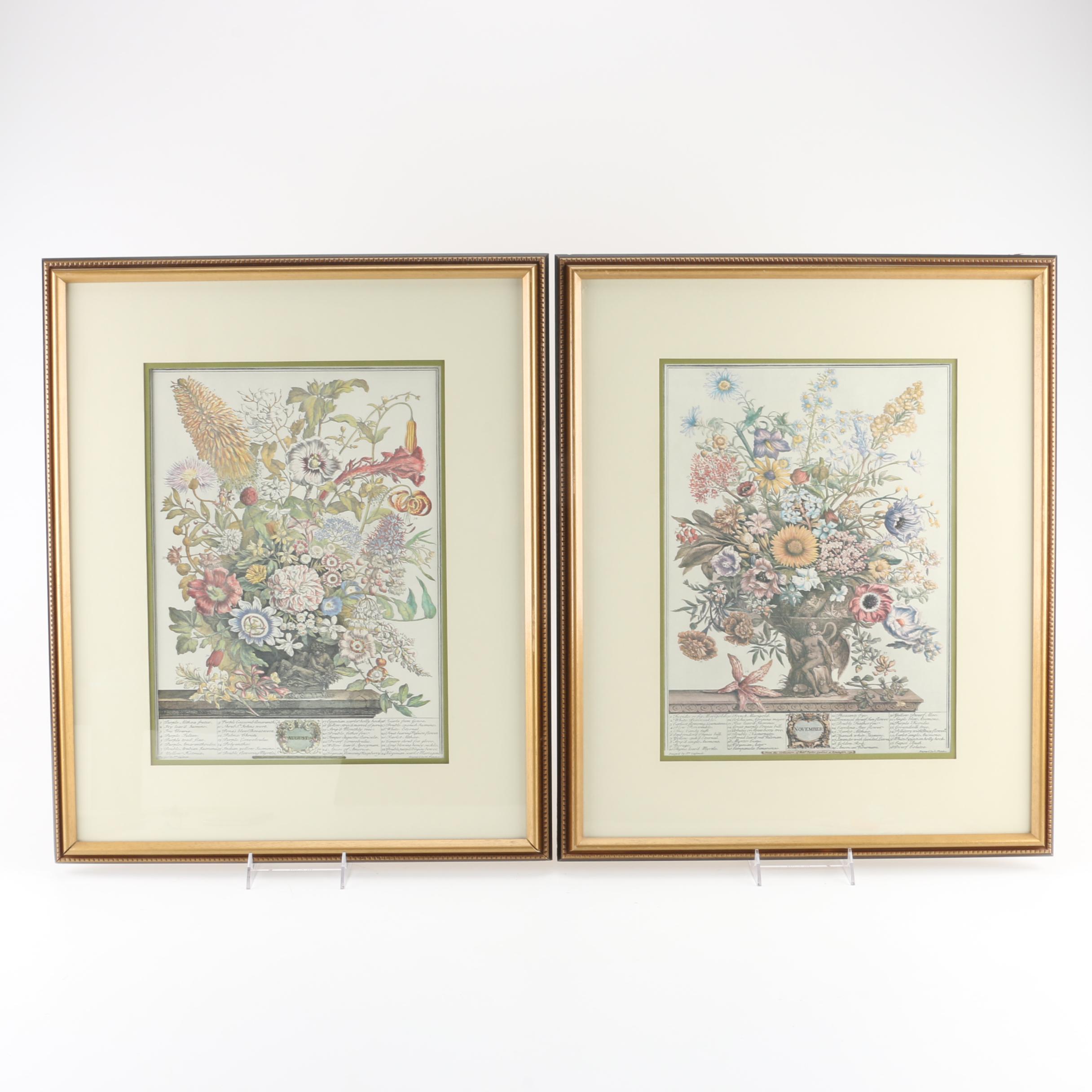 Offset Lithographs After Pieter Casteels "Twelve Months of Flowers": "August" and "November"