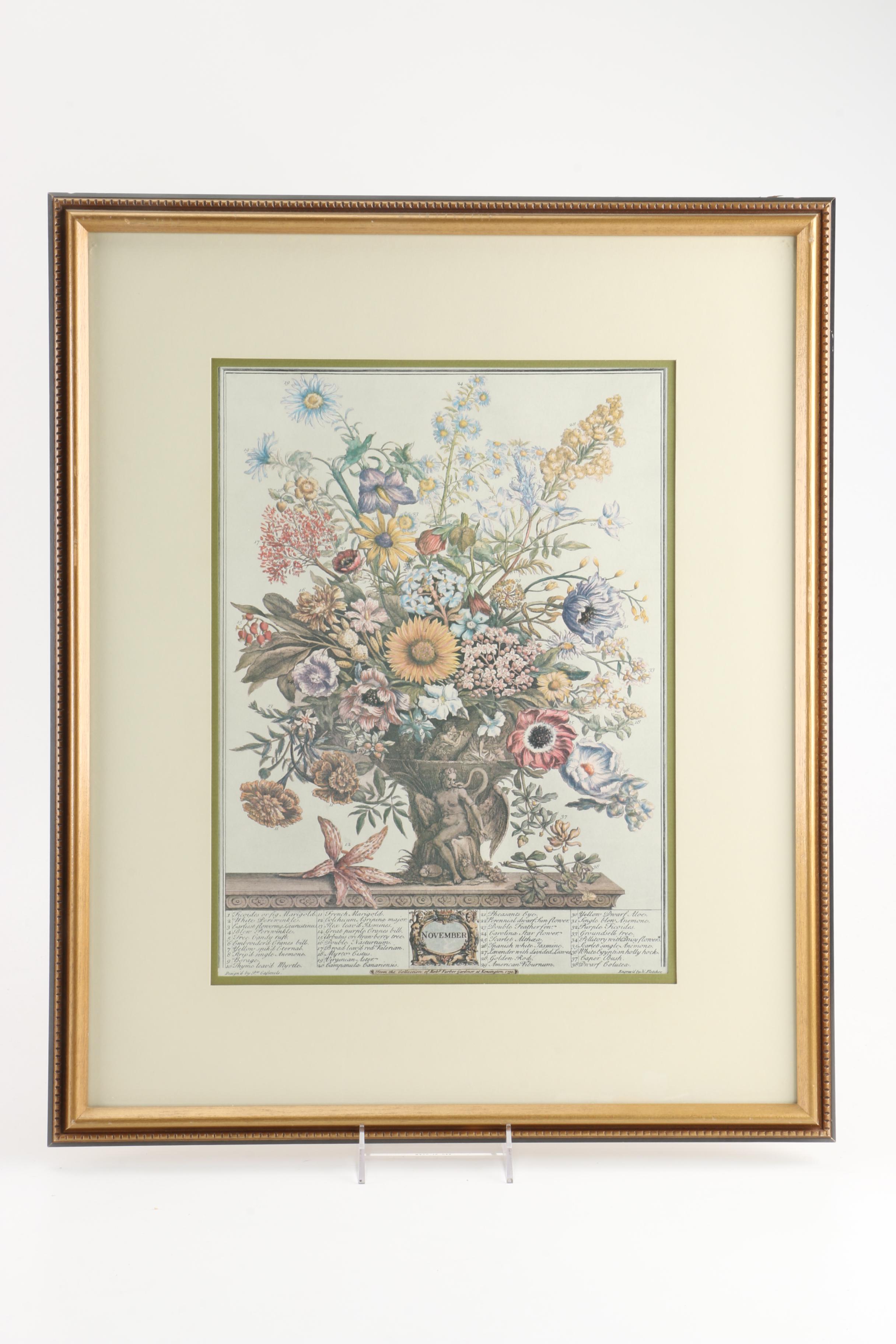 Offset Lithographs After Pieter Casteels "Twelve Months of Flowers": "August" and "November"