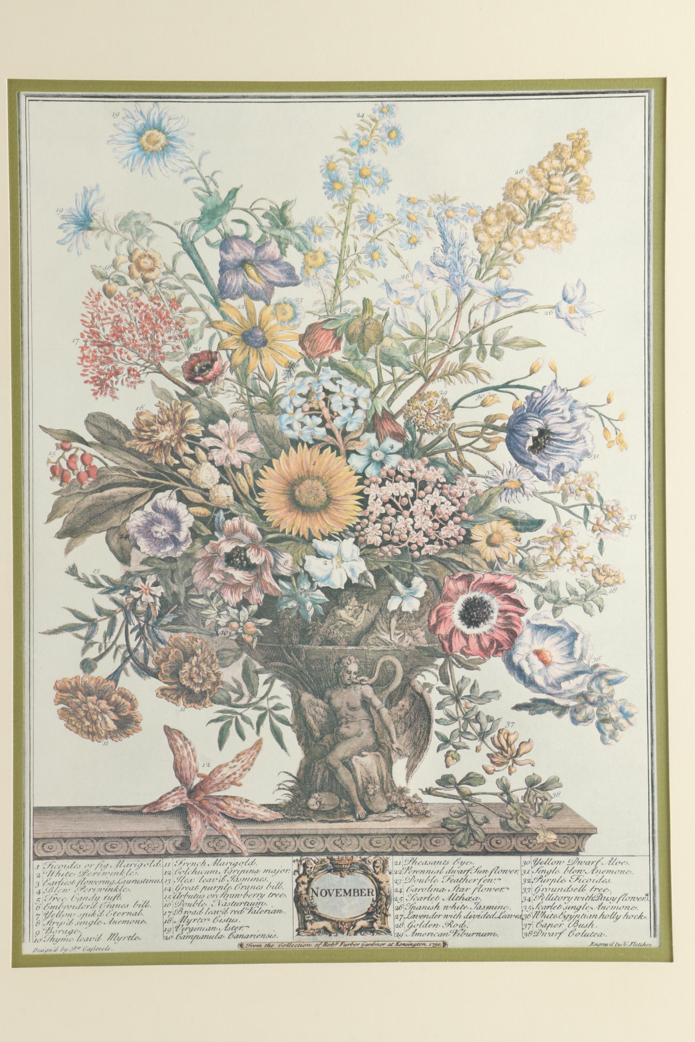 Offset Lithographs After Pieter Casteels "Twelve Months of Flowers": "August" and "November"