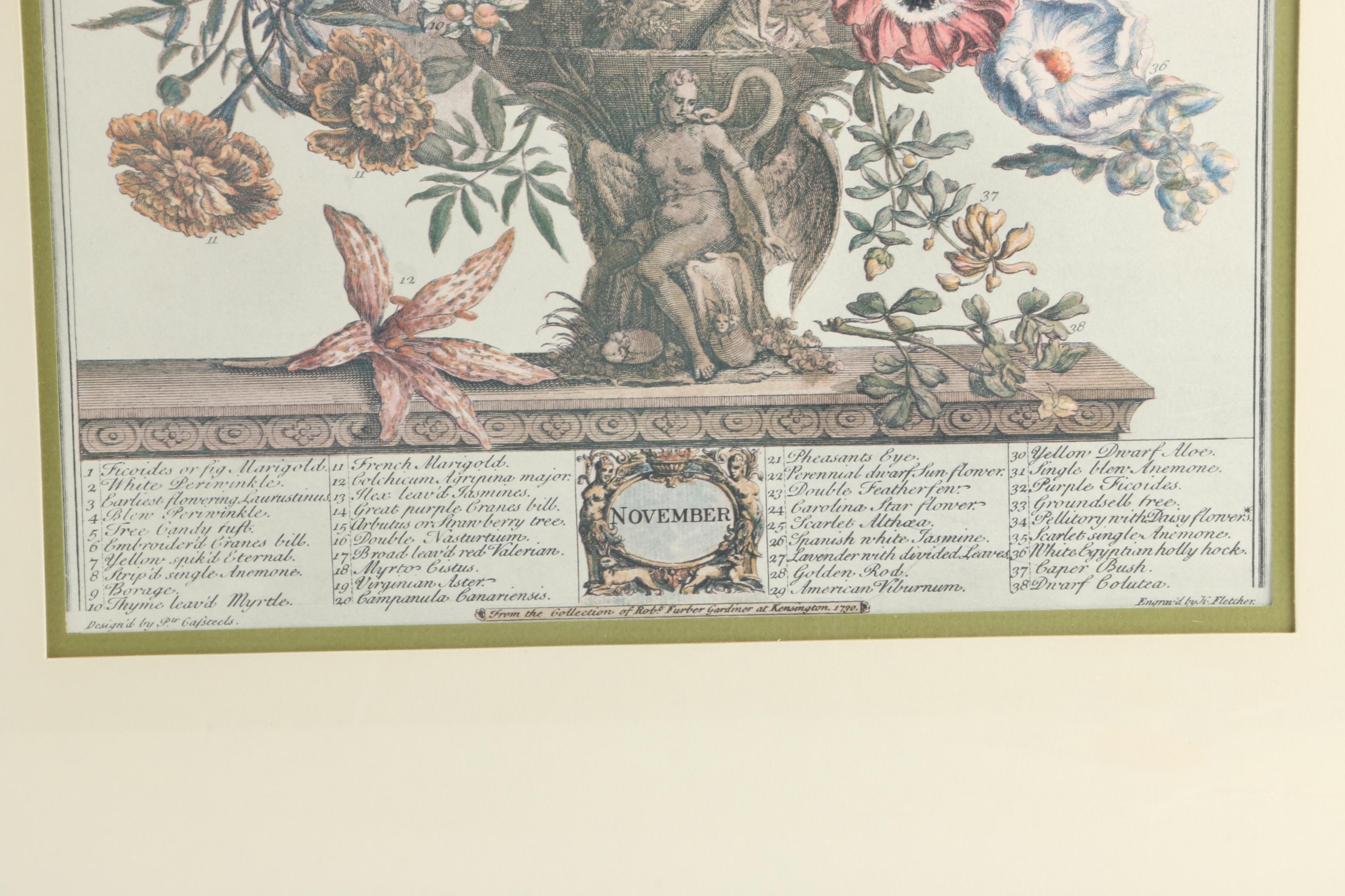 Offset Lithographs After Pieter Casteels "Twelve Months of Flowers": "August" and "November"