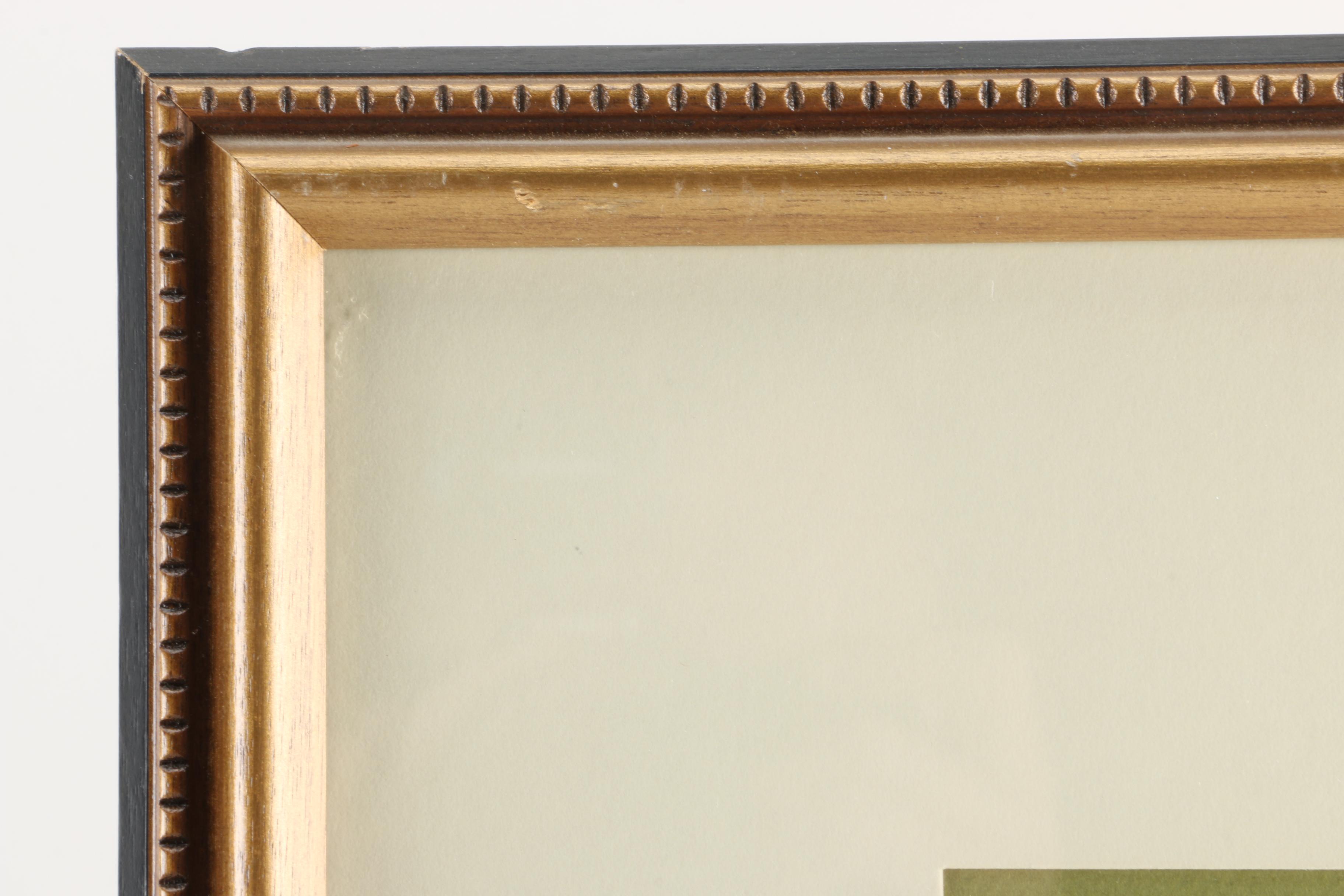 Offset Lithographs After Pieter Casteels "Twelve Months of Flowers": "August" and "November"