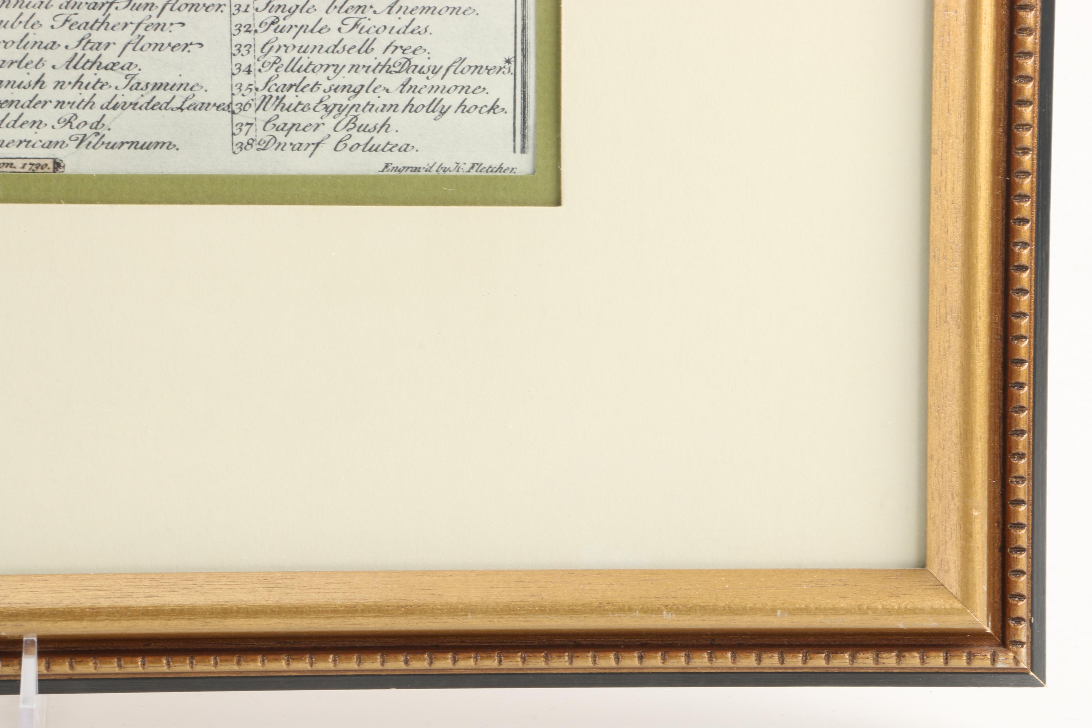 Offset Lithographs After Pieter Casteels "Twelve Months of Flowers": "August" and "November"