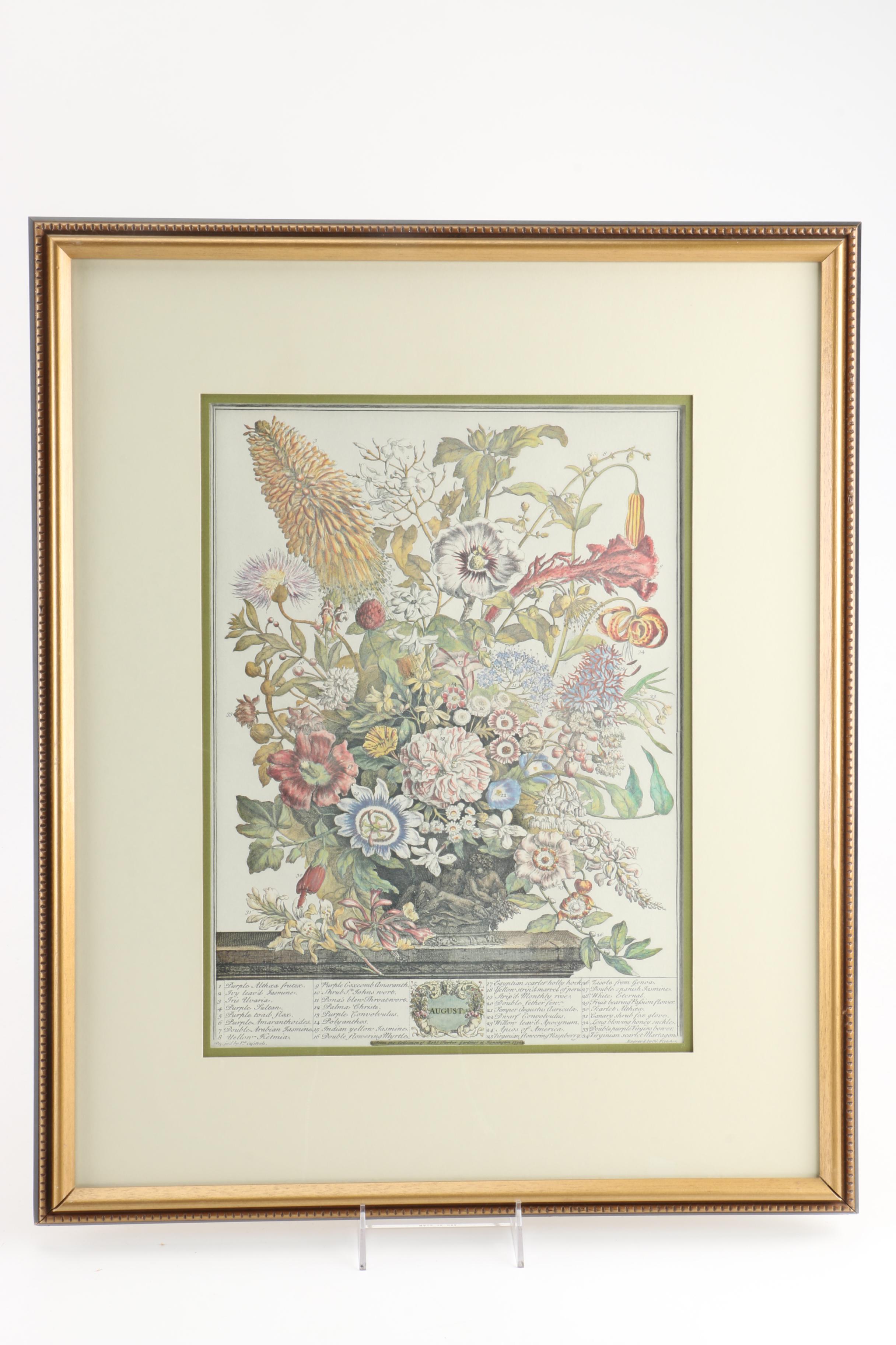 Offset Lithographs After Pieter Casteels "Twelve Months of Flowers": "August" and "November"